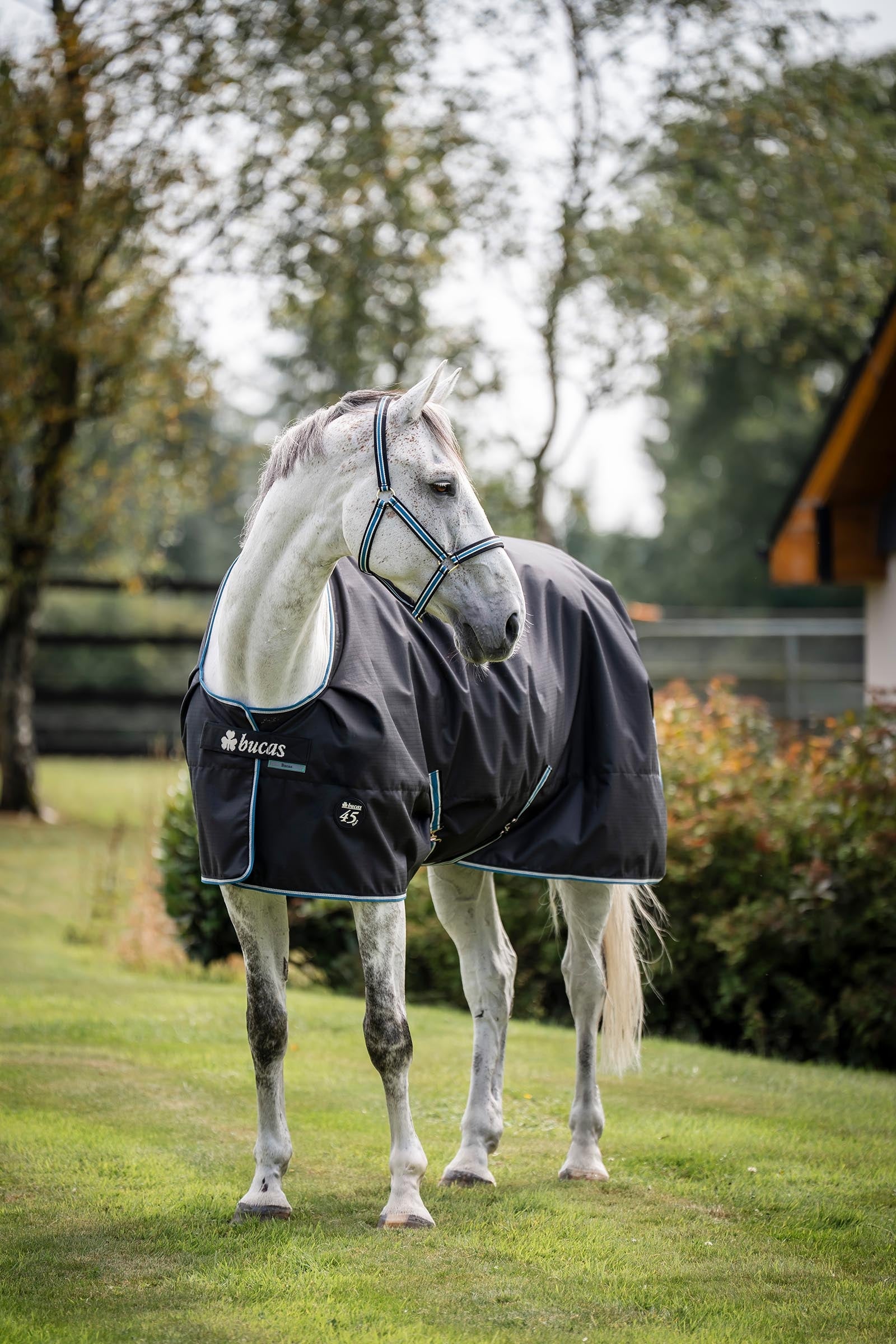Bucas Anniversary SF Light Rain Turnout Rug, 50g Horse Rugs