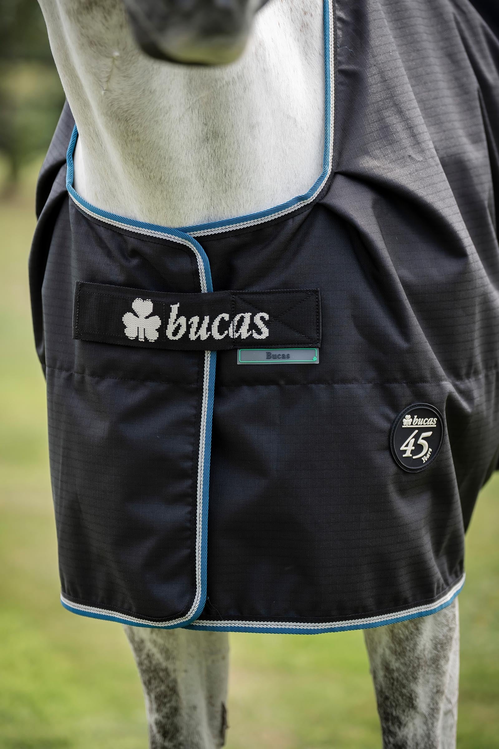 Bucas Anniversary SF Light Rain Turnout Rug, 50g Horse Rugs