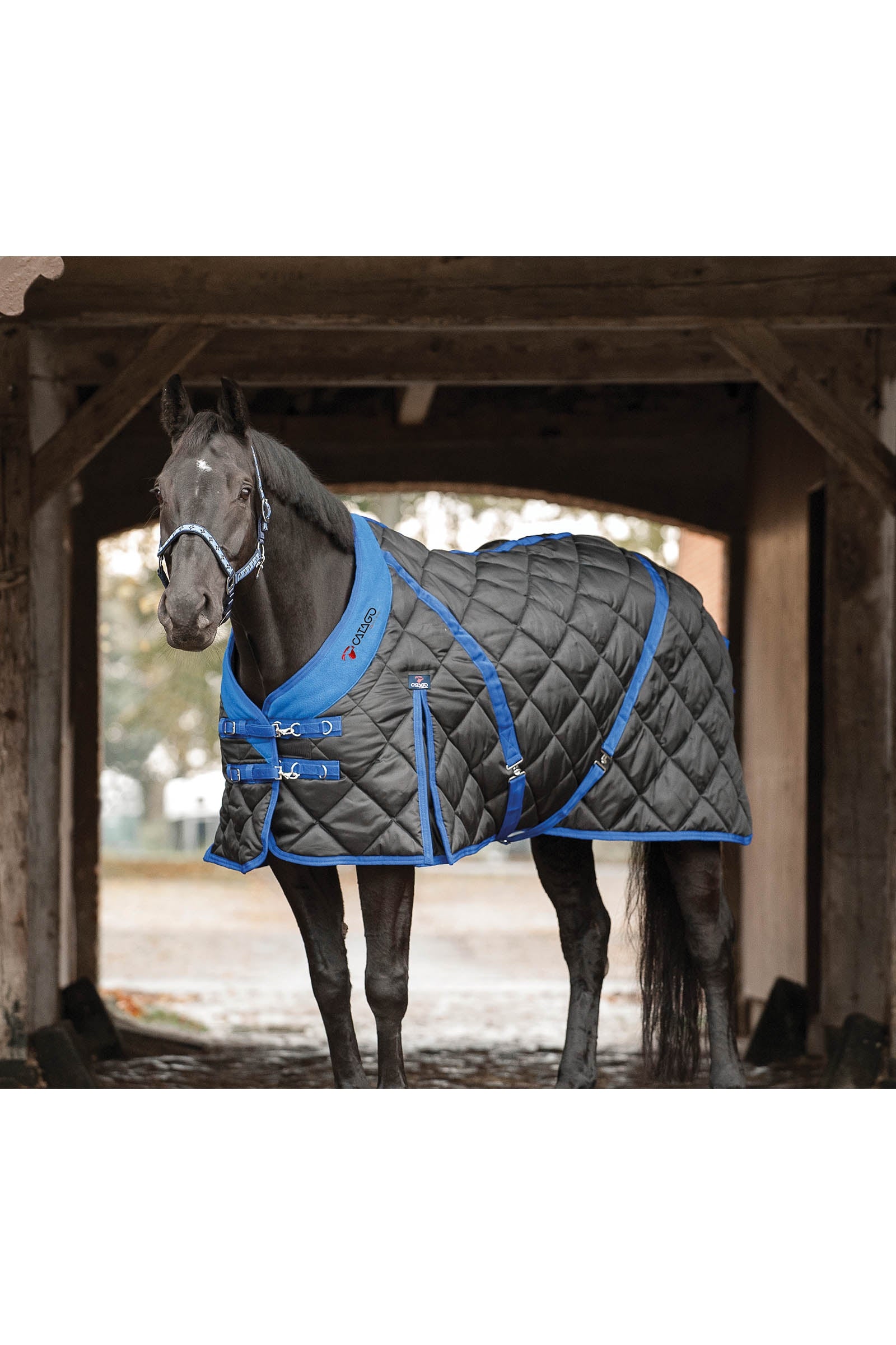 Catago Stable Rug 420D, 300 g Horse Rugs