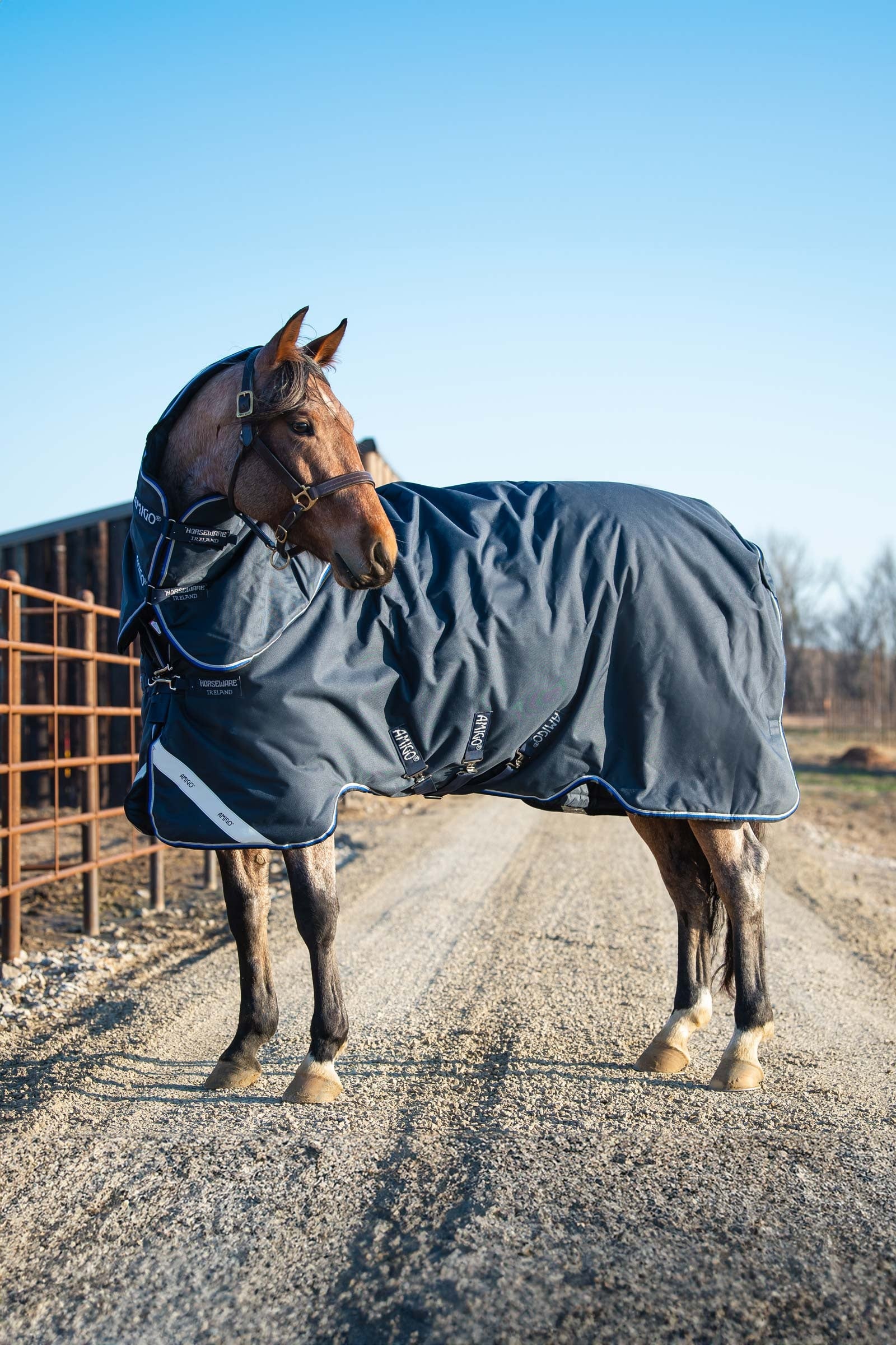 Horseware Amigo Bravo 12 Plus ulkoloimi irrotettavalla kaulaosalla, 400g Loimet