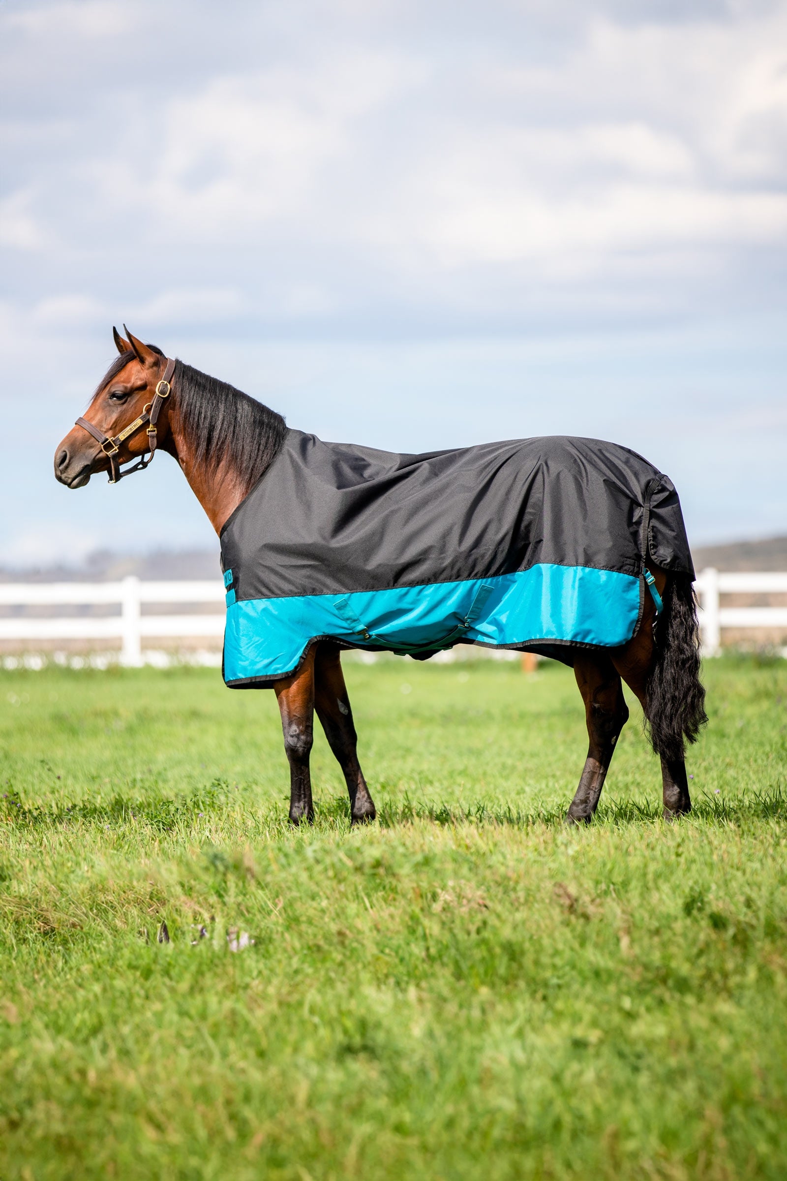 Horseware Mio Turnout Rug, 200g Horse Rugs