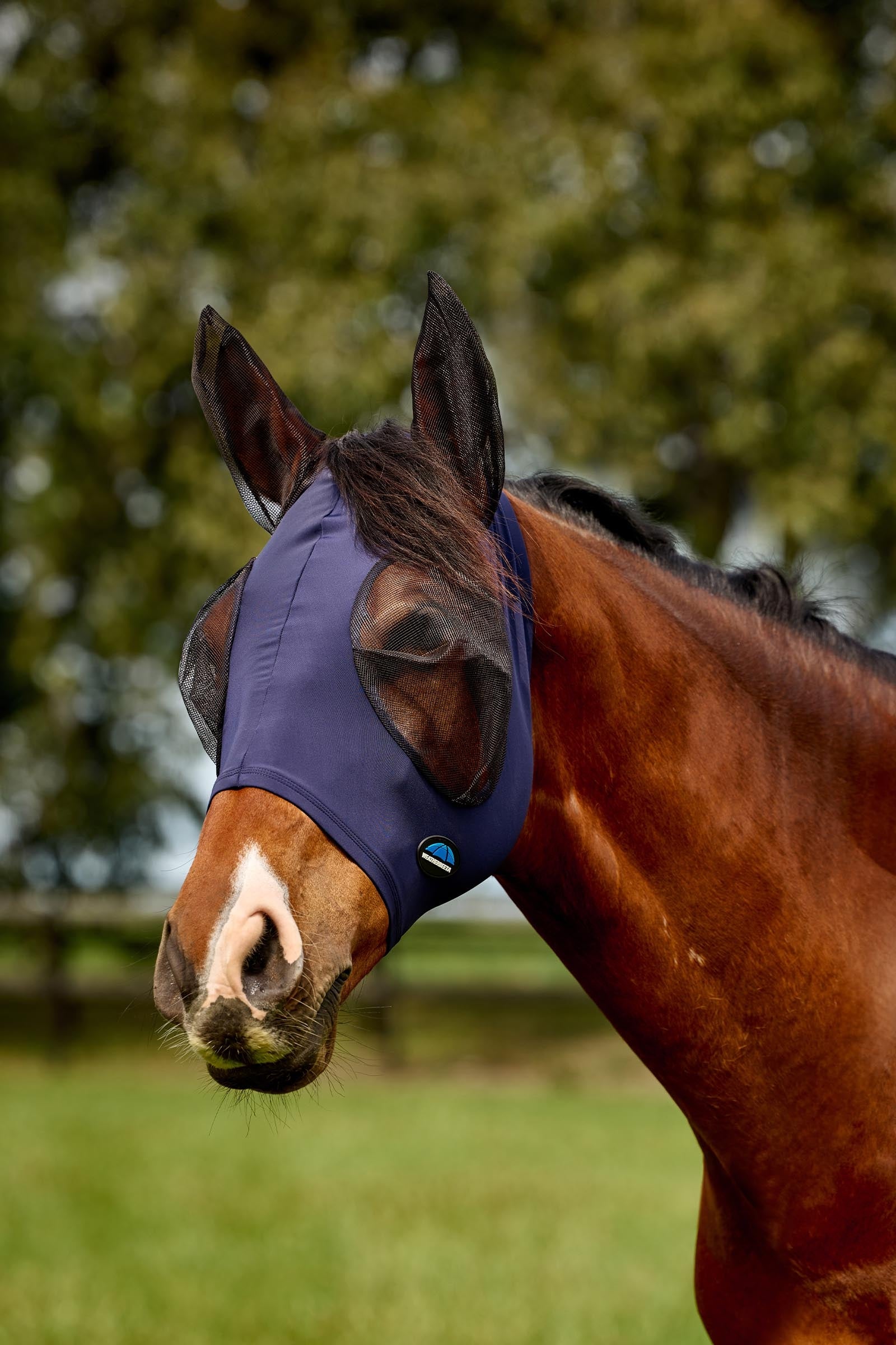 Weatherbeeta Comfitec Deluxe Stretch Fly Mask With Ears Antifly Protection for Horses