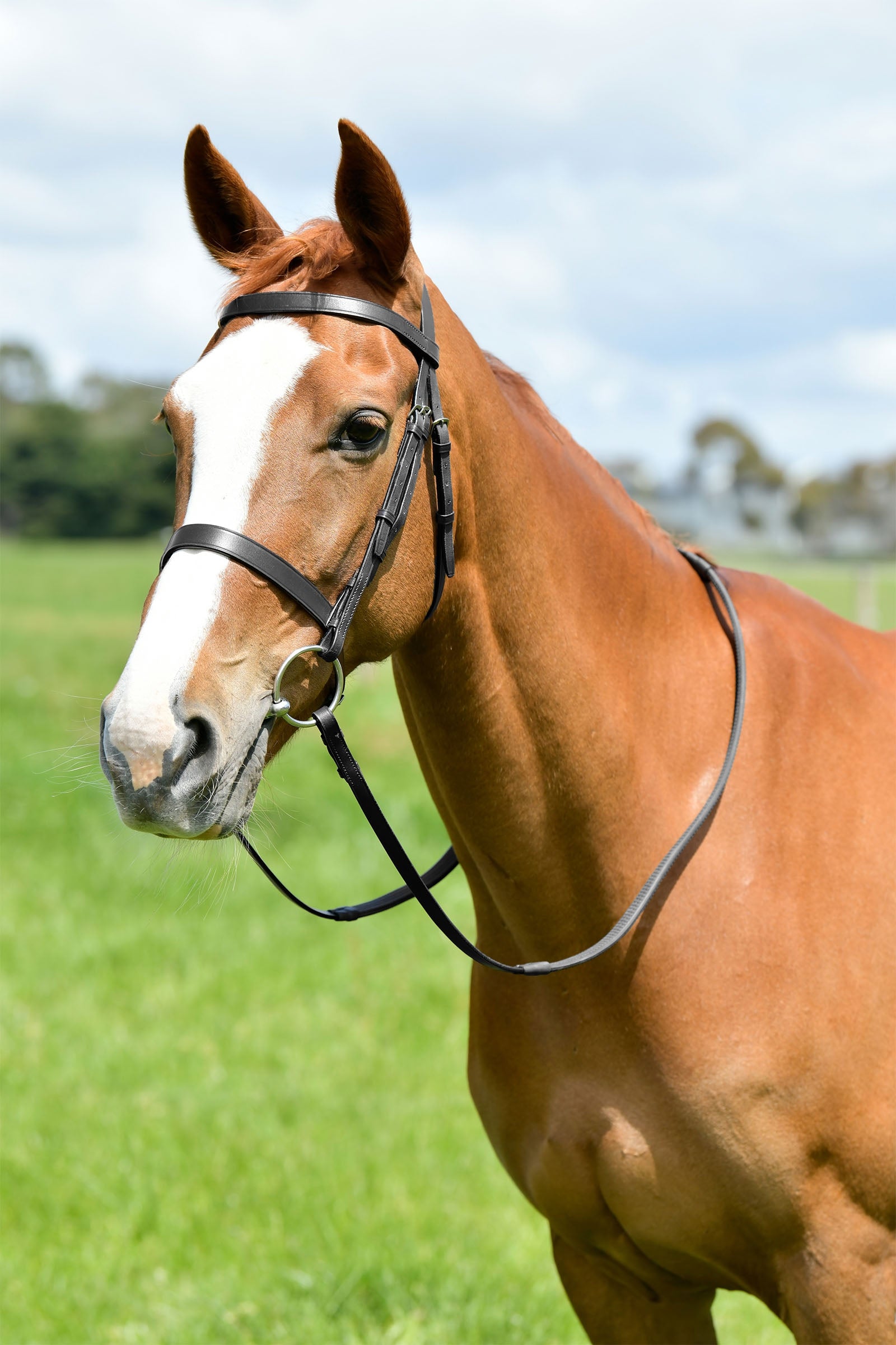 Kincade Classic litteä metsästyssuitset ohjilla Suitset & Ohjat