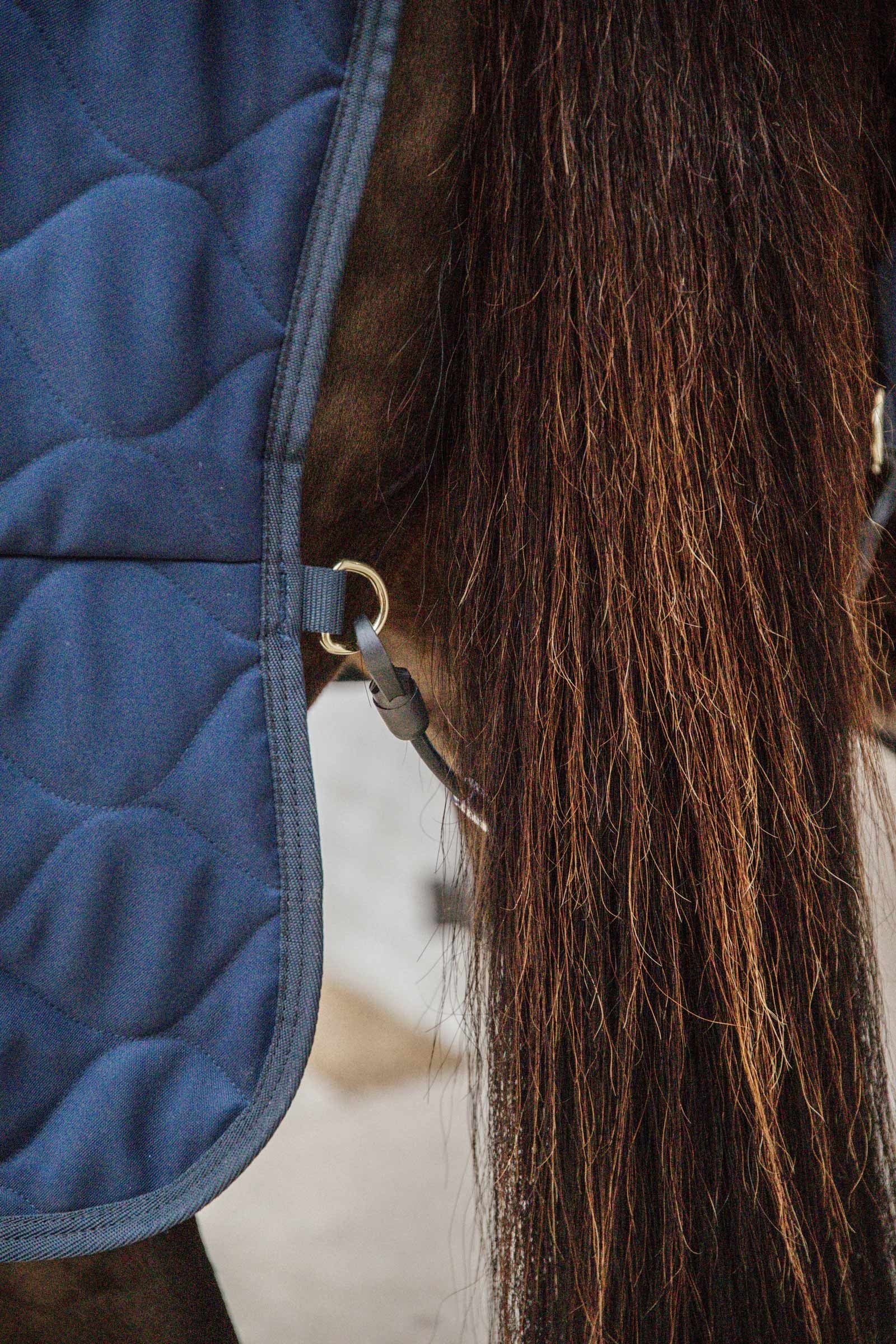 Kentucky Horsewear Stable rug comfort 100g Horse Rugs