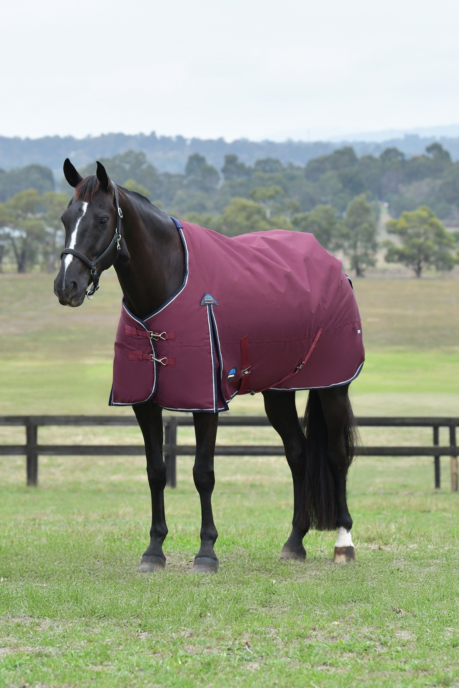 Weatherbeeta ComFiTec Essential Turnout Standard Neck 50G Loimet