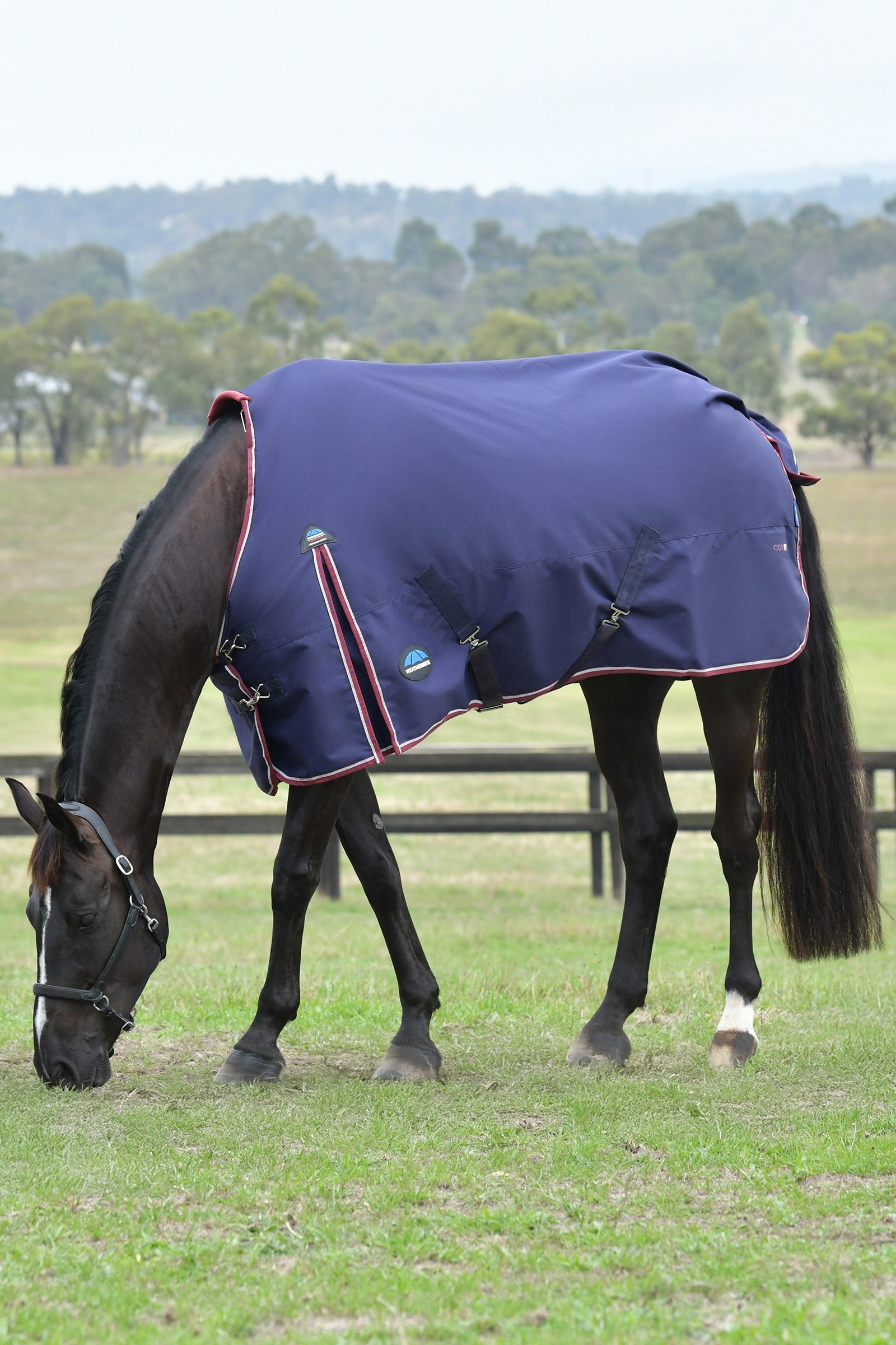 Weatherbeeta ComFiTec Essential Turnout Standard Neck 50G Horse Rugs