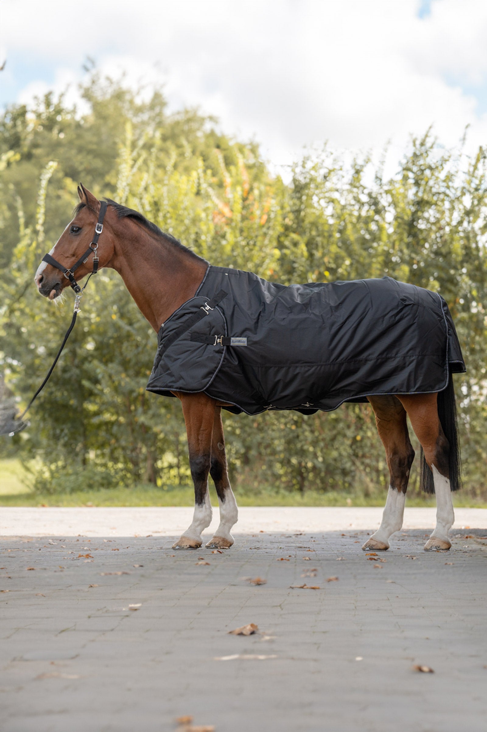 Kavalkade Halifax 2in1 Turnout and Walker Rug 50g Horse Rugs