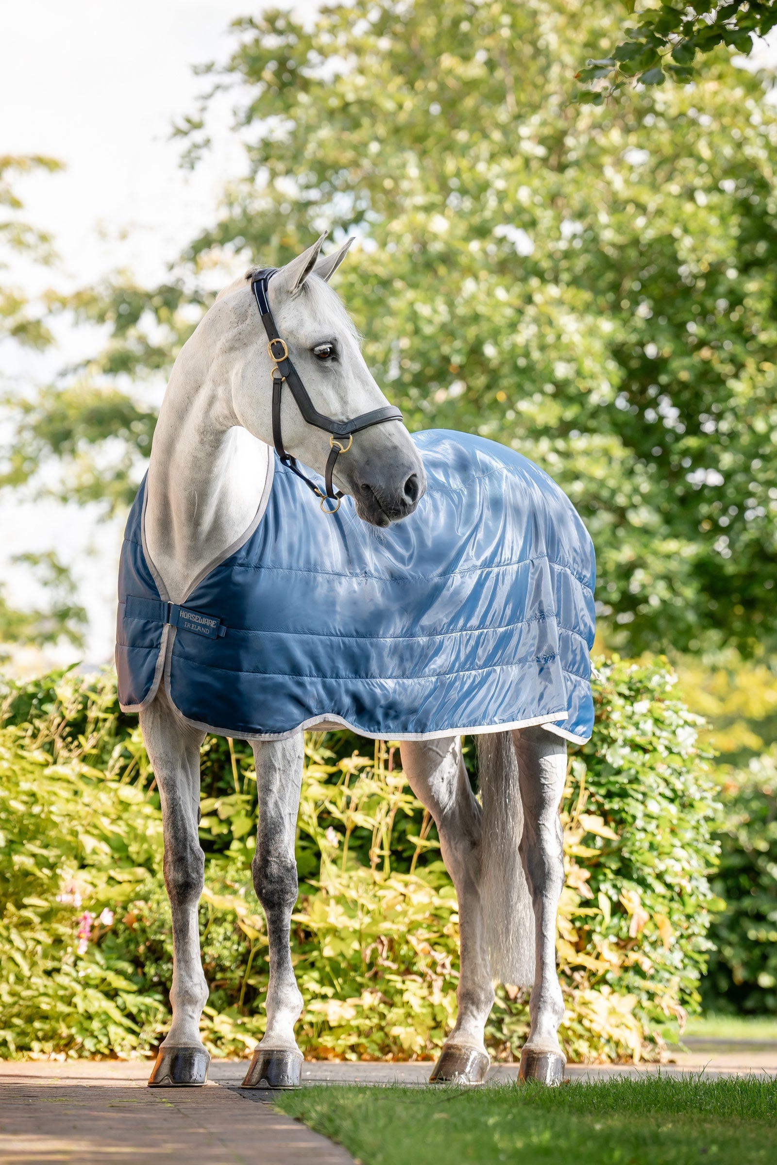 Horseware Ionic Therapy vuoriloimi 200 g Loimet