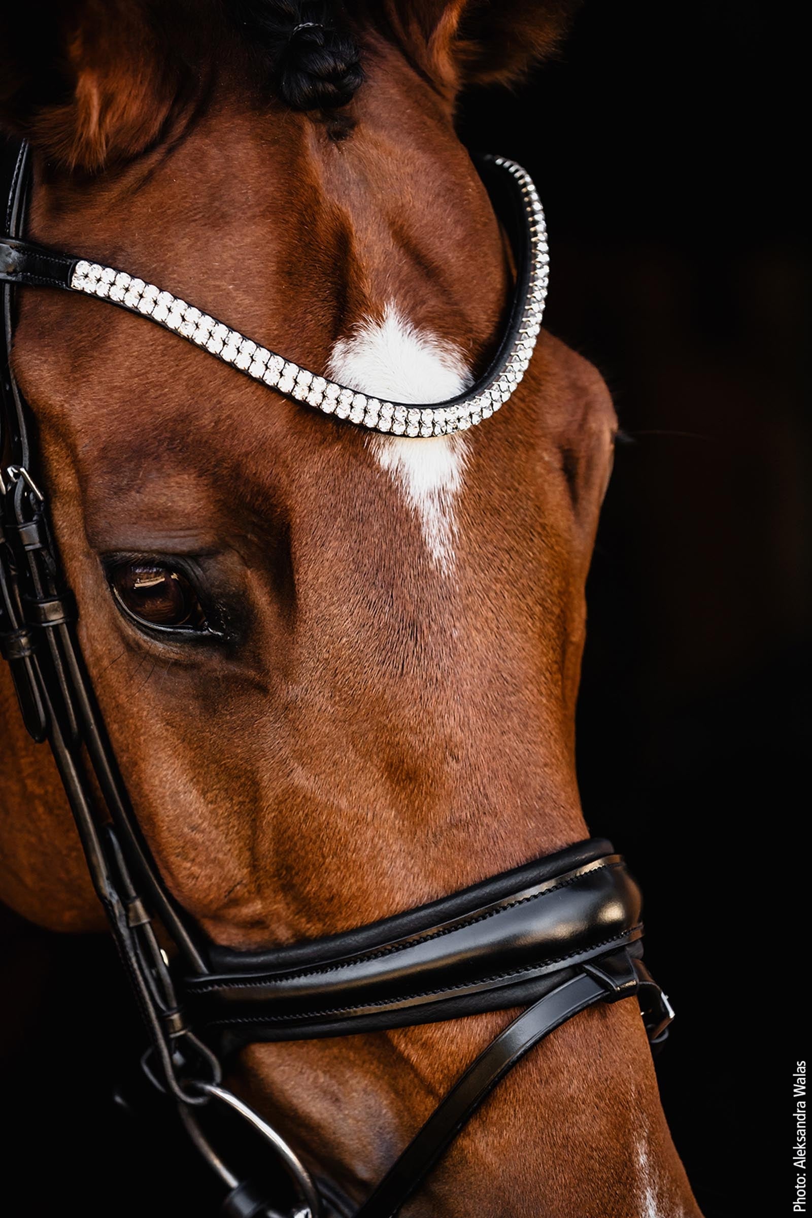 Schockemöhle Sports Johnny Bridle - Isabell Werth Collection Bridles & Reins