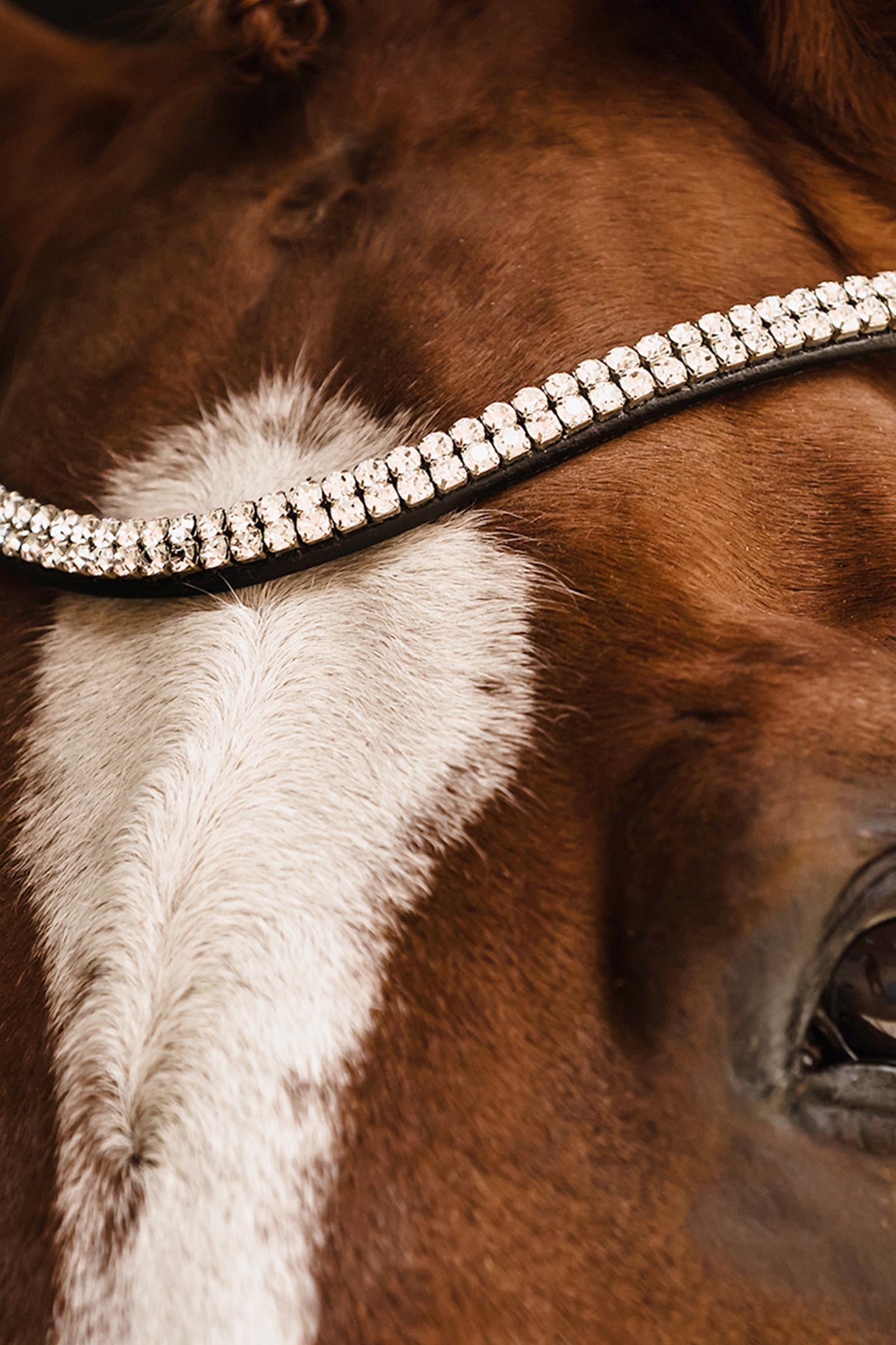 Schockemöhle Sports Johnny Bridle - Isabell Werth Collection Bridles & Reins