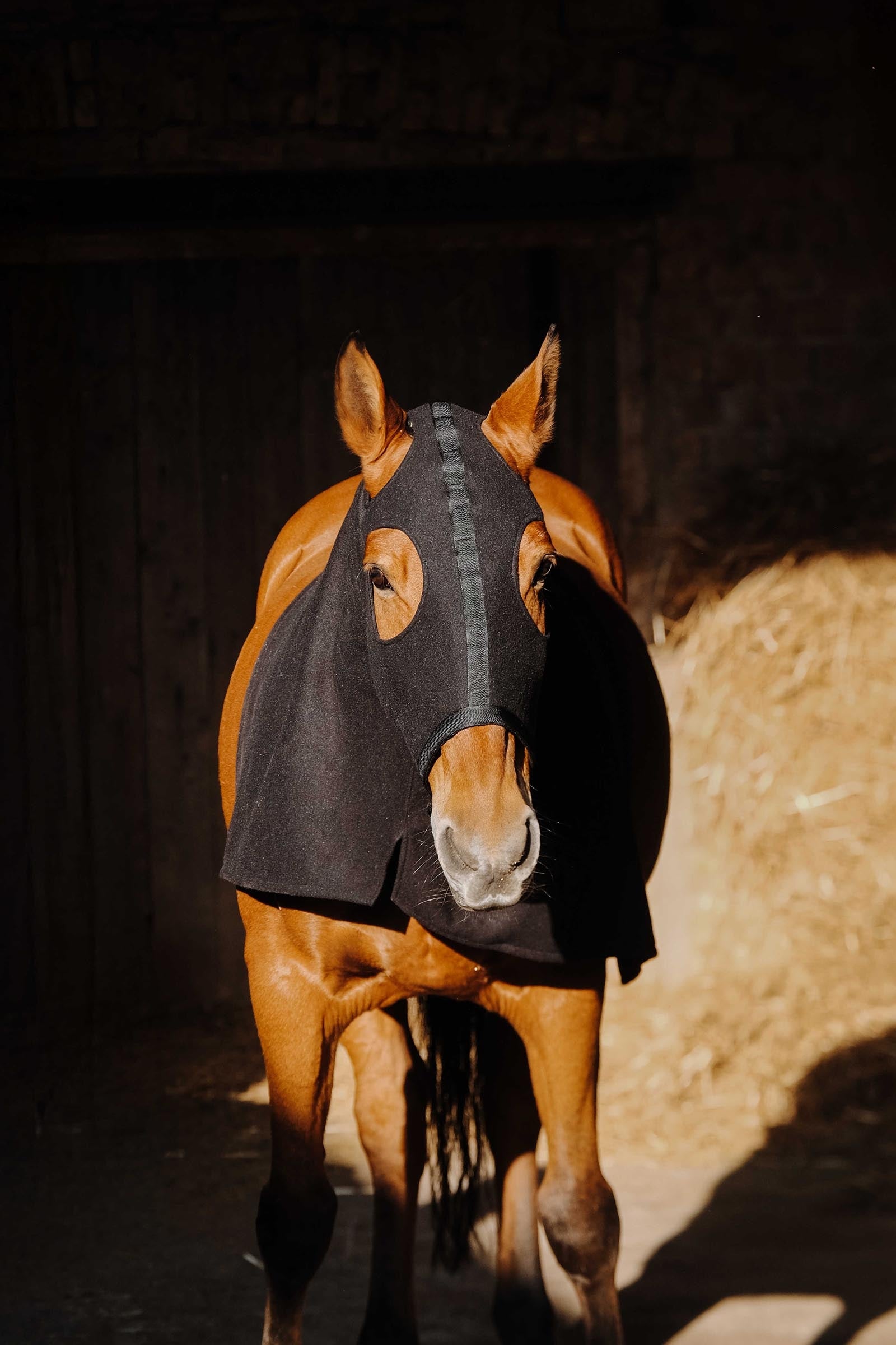 Equi Theme EQUITHÈME Fleece Full Neck Protection Horse Rugs