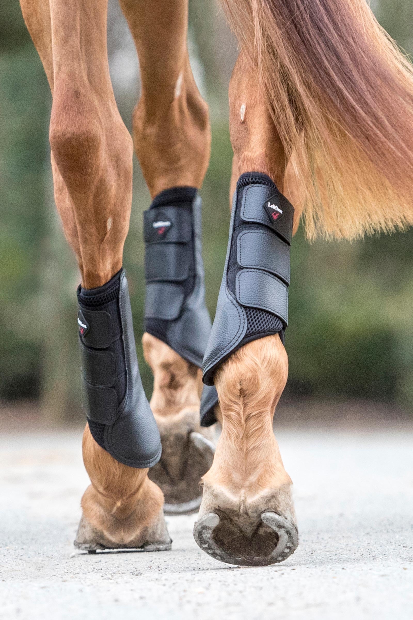LeMieux Mesh Brushing Boots Leg Protection & Hoof Protection for Horses