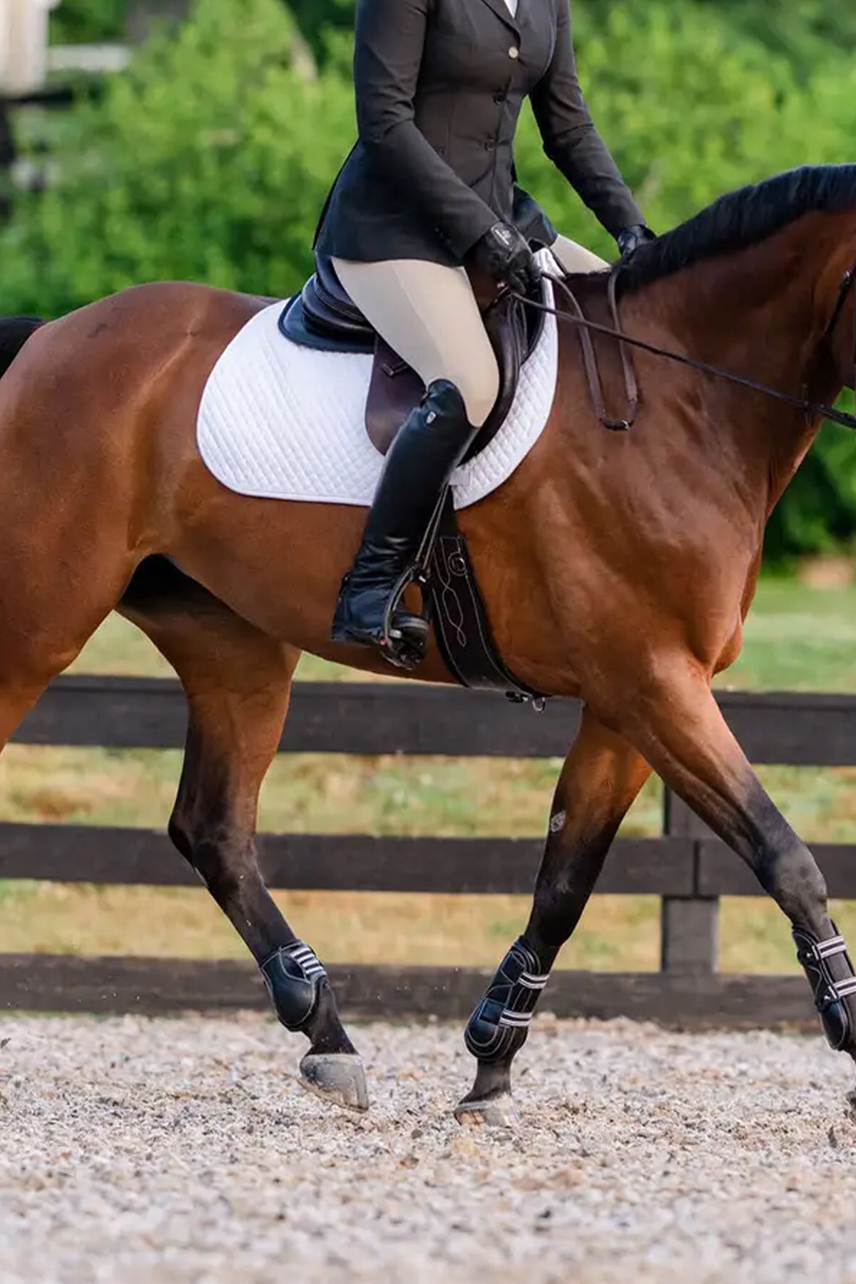 EquiFit D-Teq™ Hind Boot - ImpacTeq® Liner (Pair) Leg & Hoof Protection