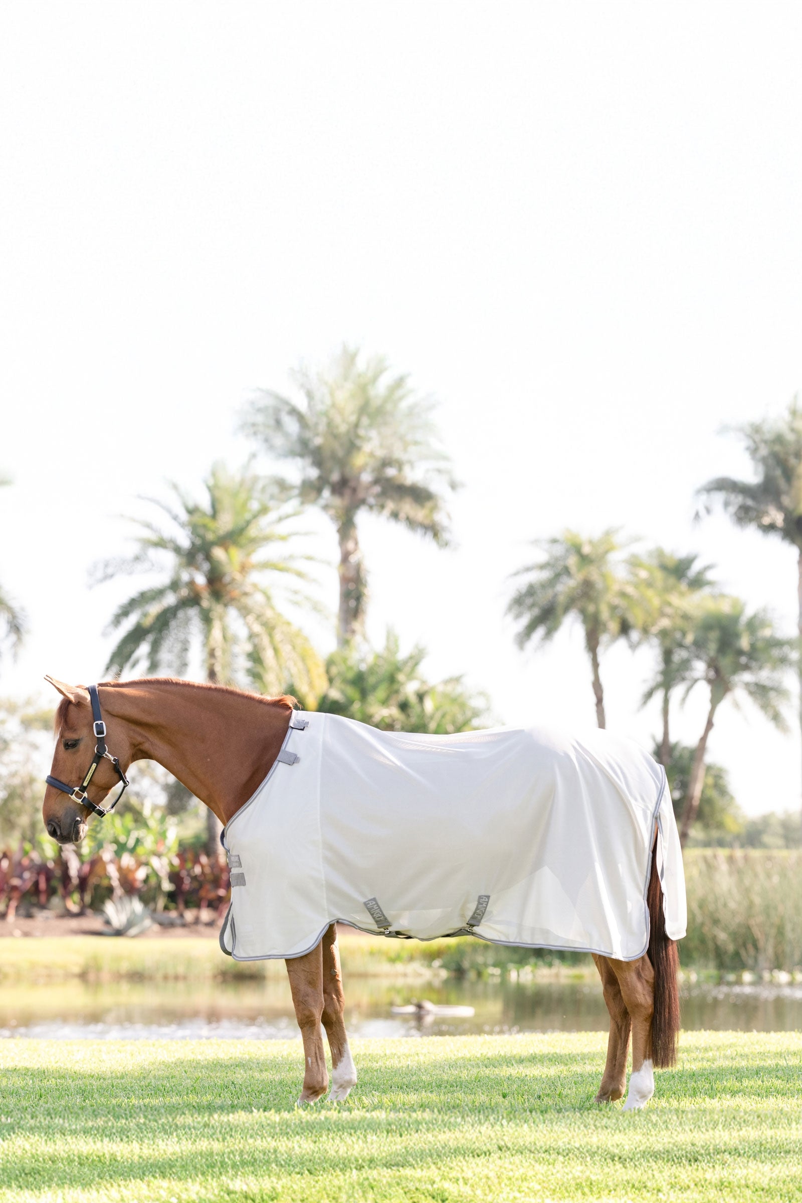 Horseware Amigo hyönteisloimi UV-suojalla Loimet