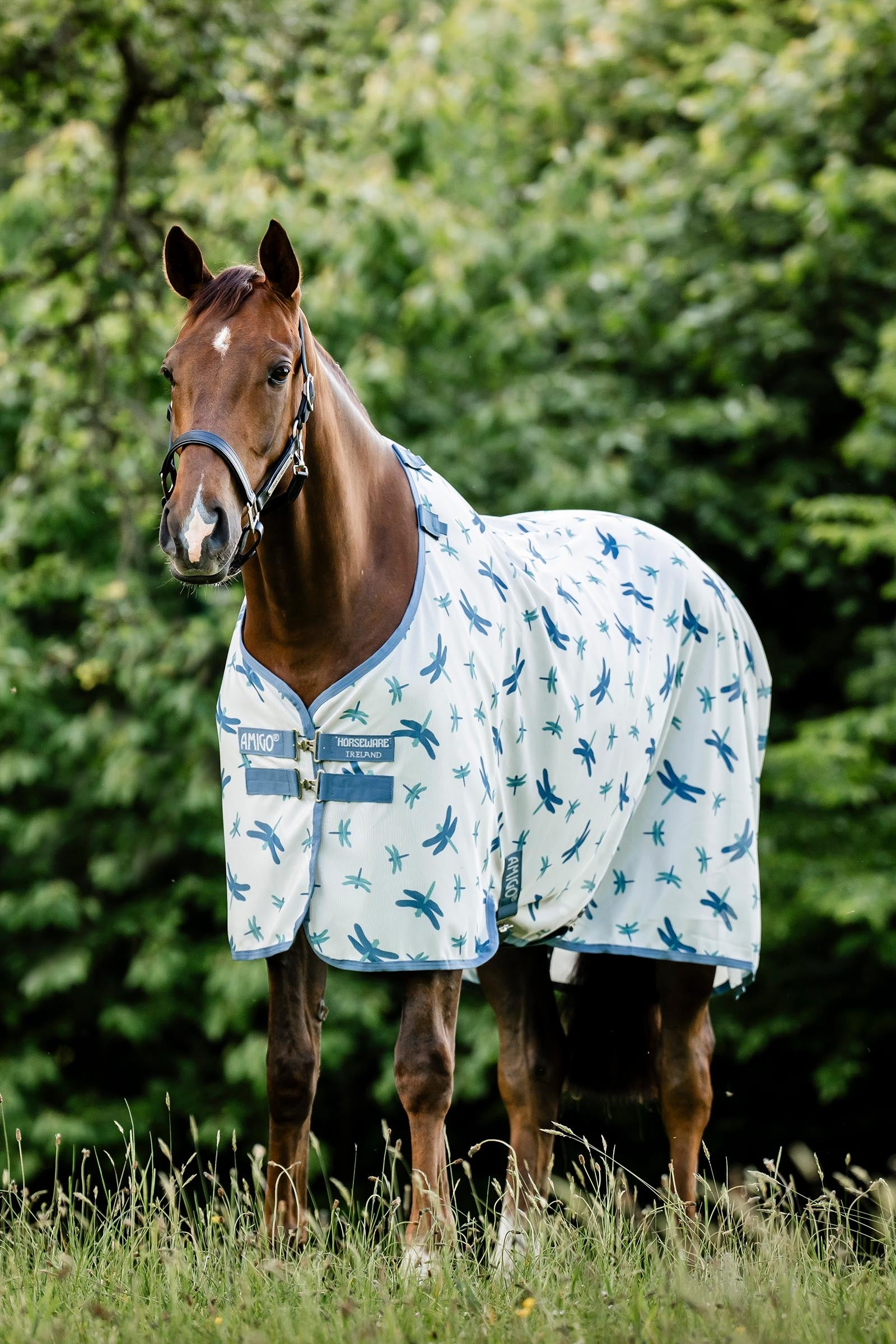 Horseware Amigo hyönteisloimi UV-suojalla Loimet