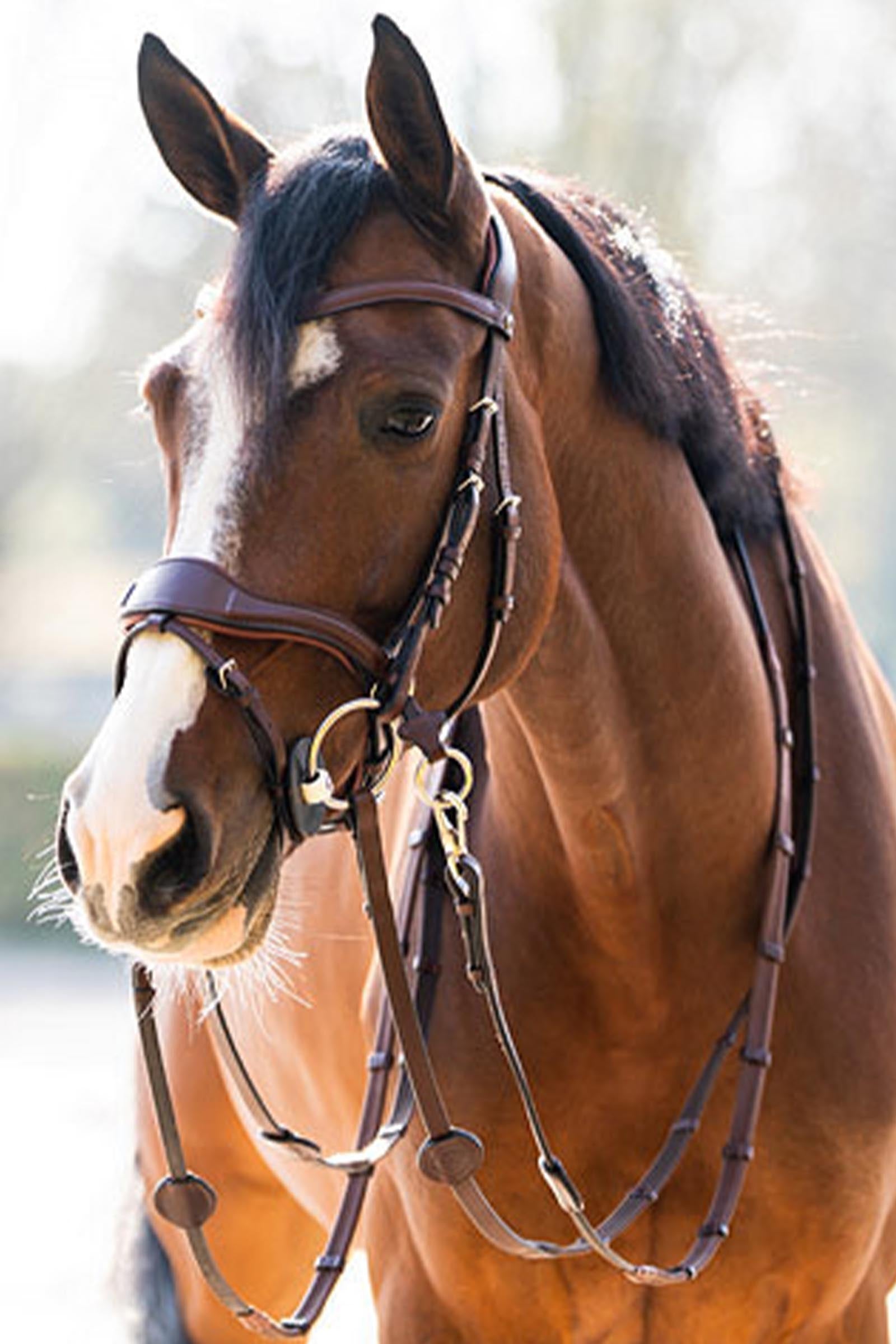 Trust Equestrian Falsterbo T-motion Bridle Bridles & Reins