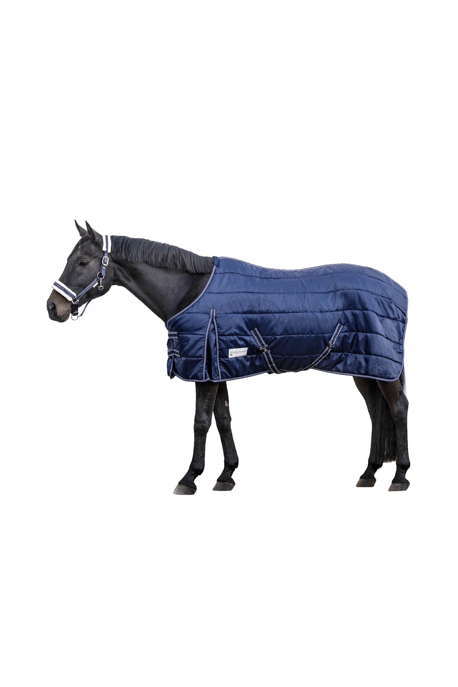 Waldhausen Stable Rug Economic 300 g Loimet