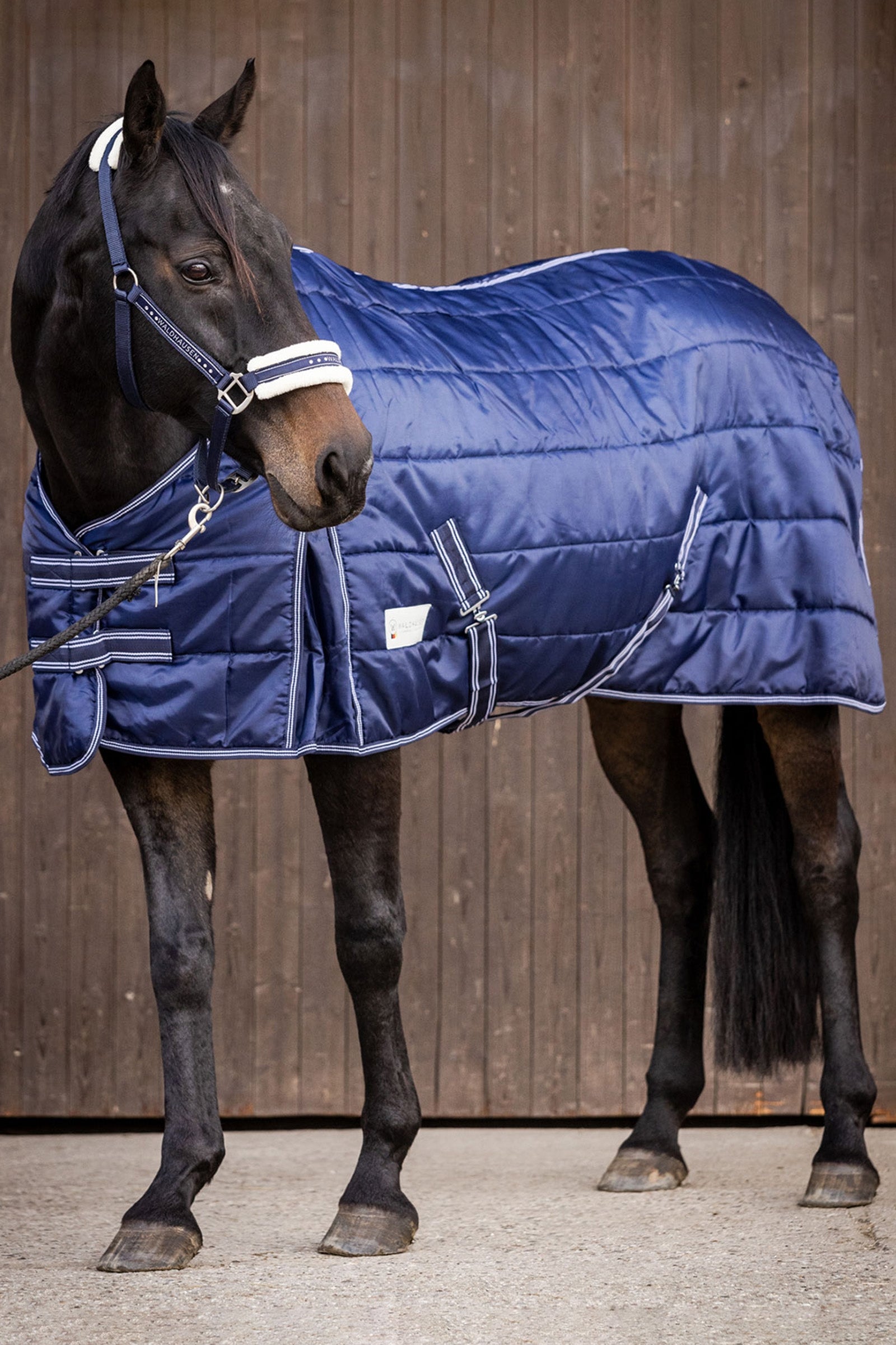 Waldhausen Stable Rug Economic 300 g Horse Rugs