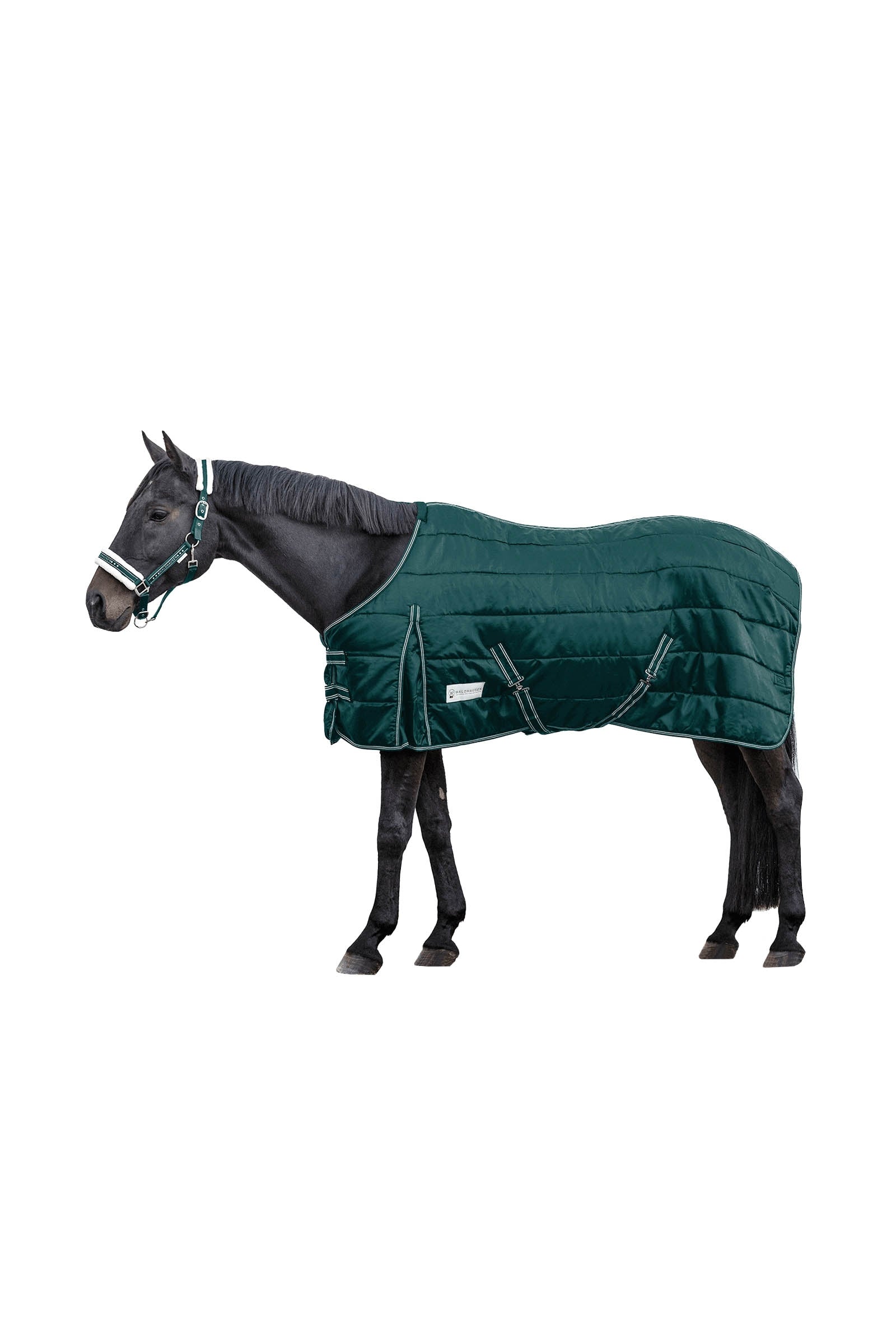 Waldhausen Stable Rug Economic 300 g Loimet