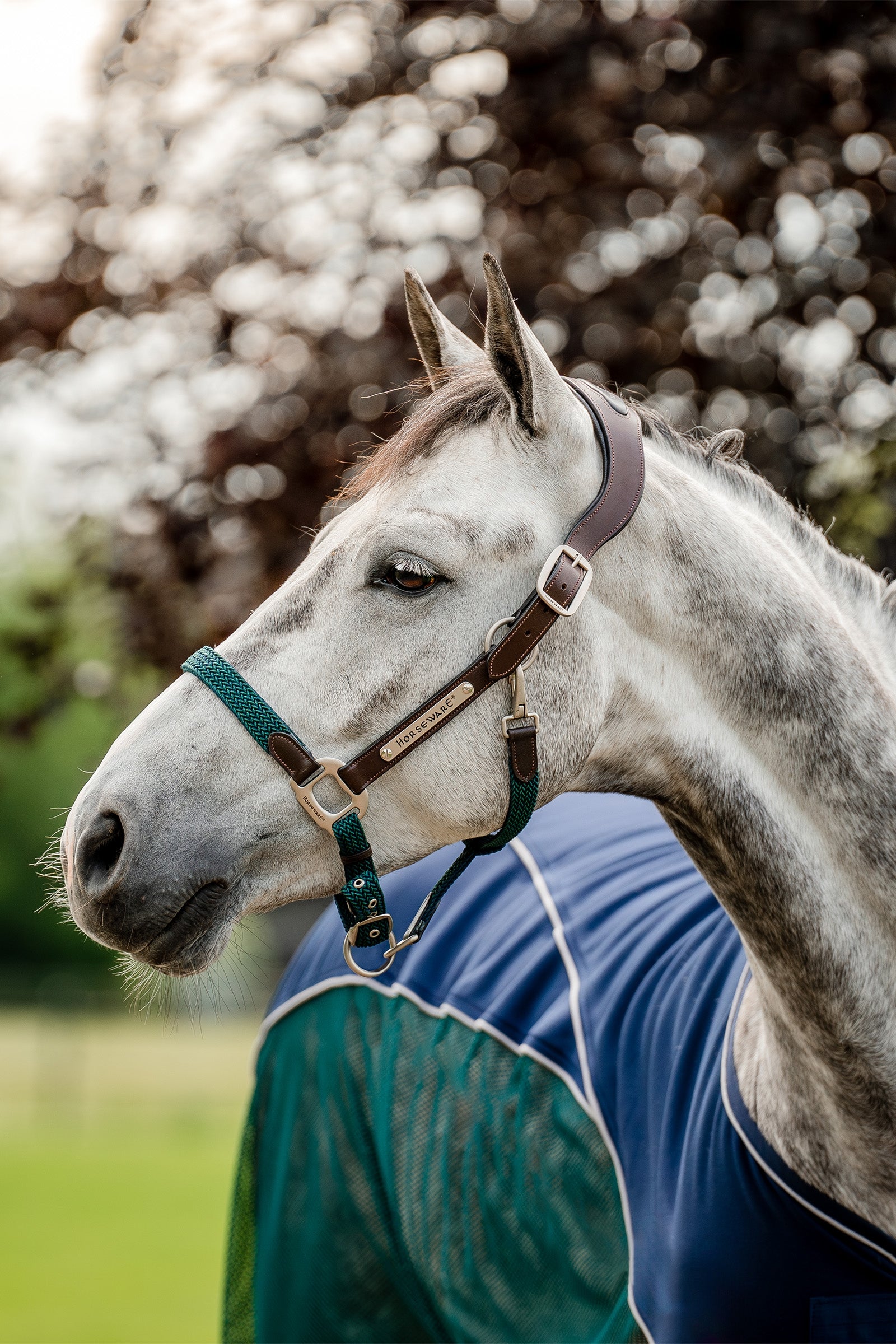 Horseware Signature Punaluinen Riimu Riimut & riimunnarut