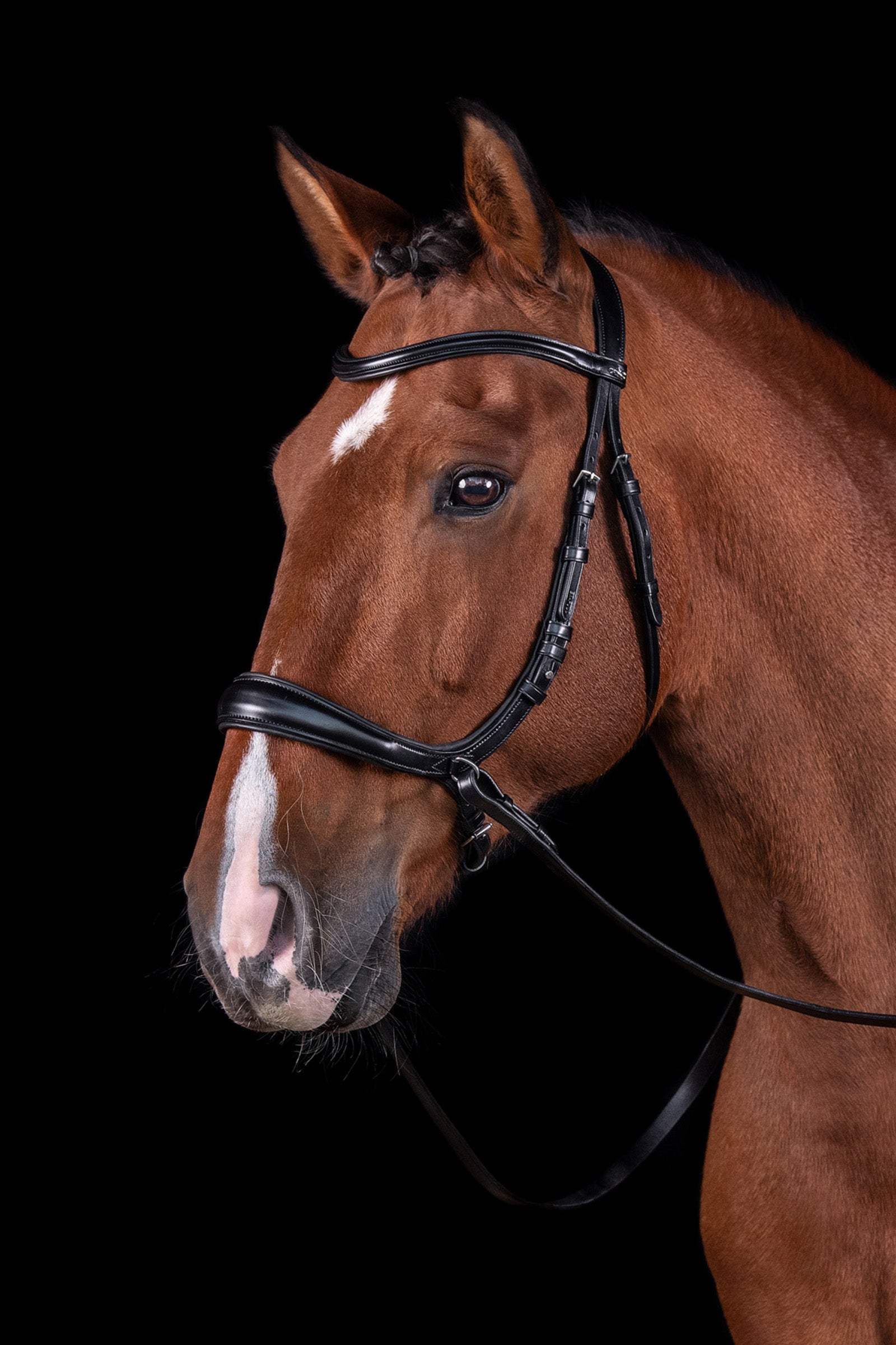 Schockemöhle Sports Equitus Theta 3in1 Bridle Bridles & Reins