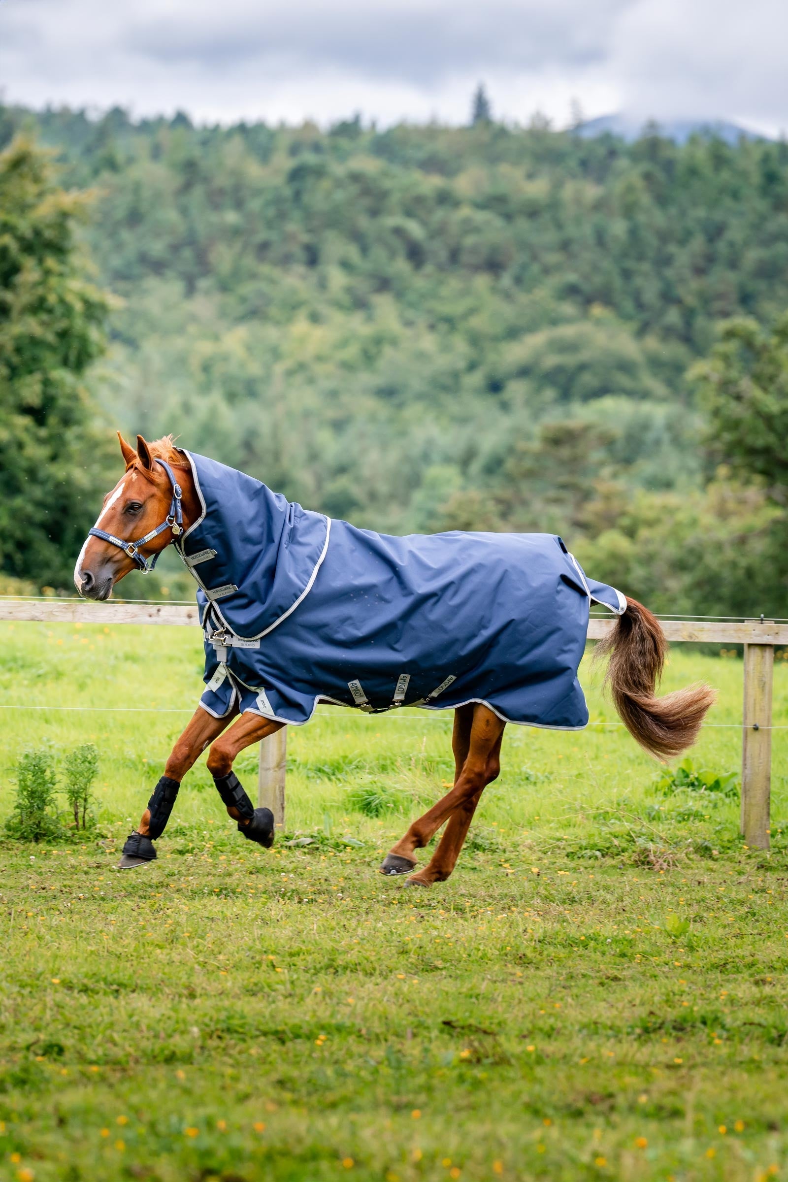 Horseware Amigo Bravo 12 Plus ulkoloimi, 250 g Loimet