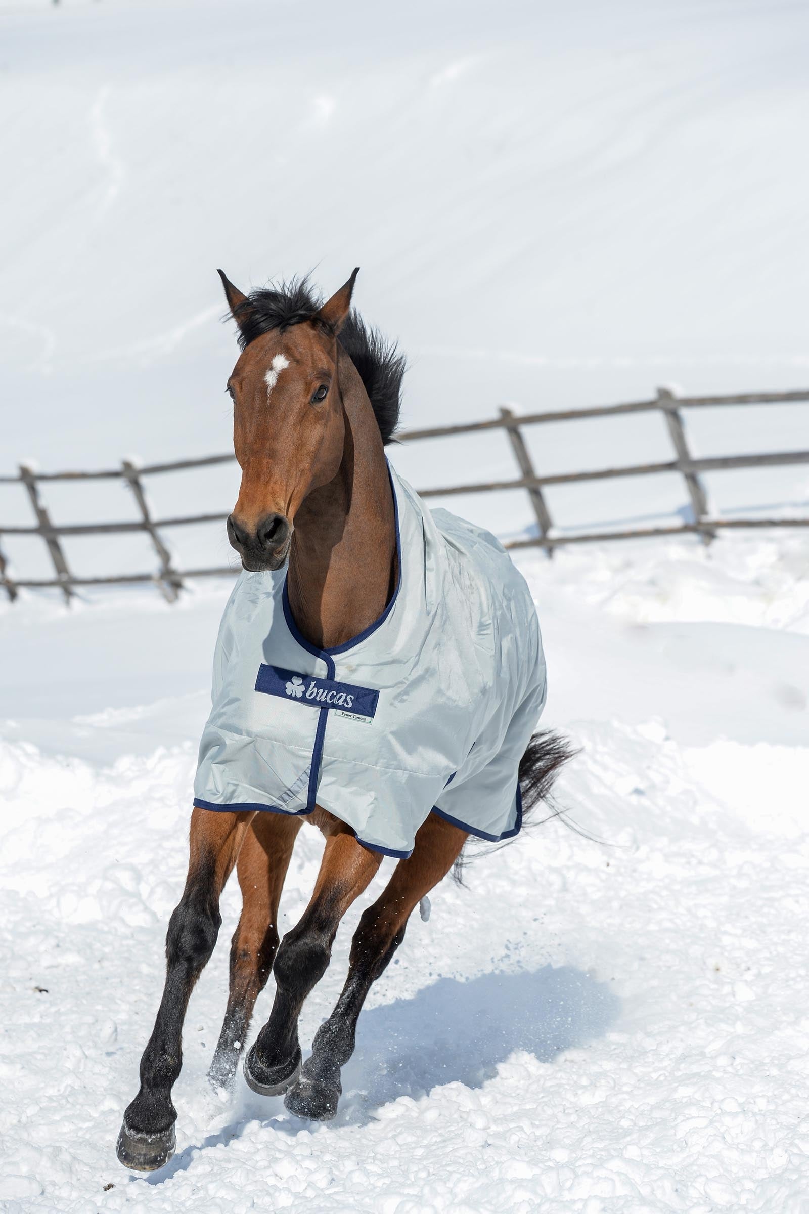 Bucas Power Turnout Extra High Neck, 300g Horse Rugs