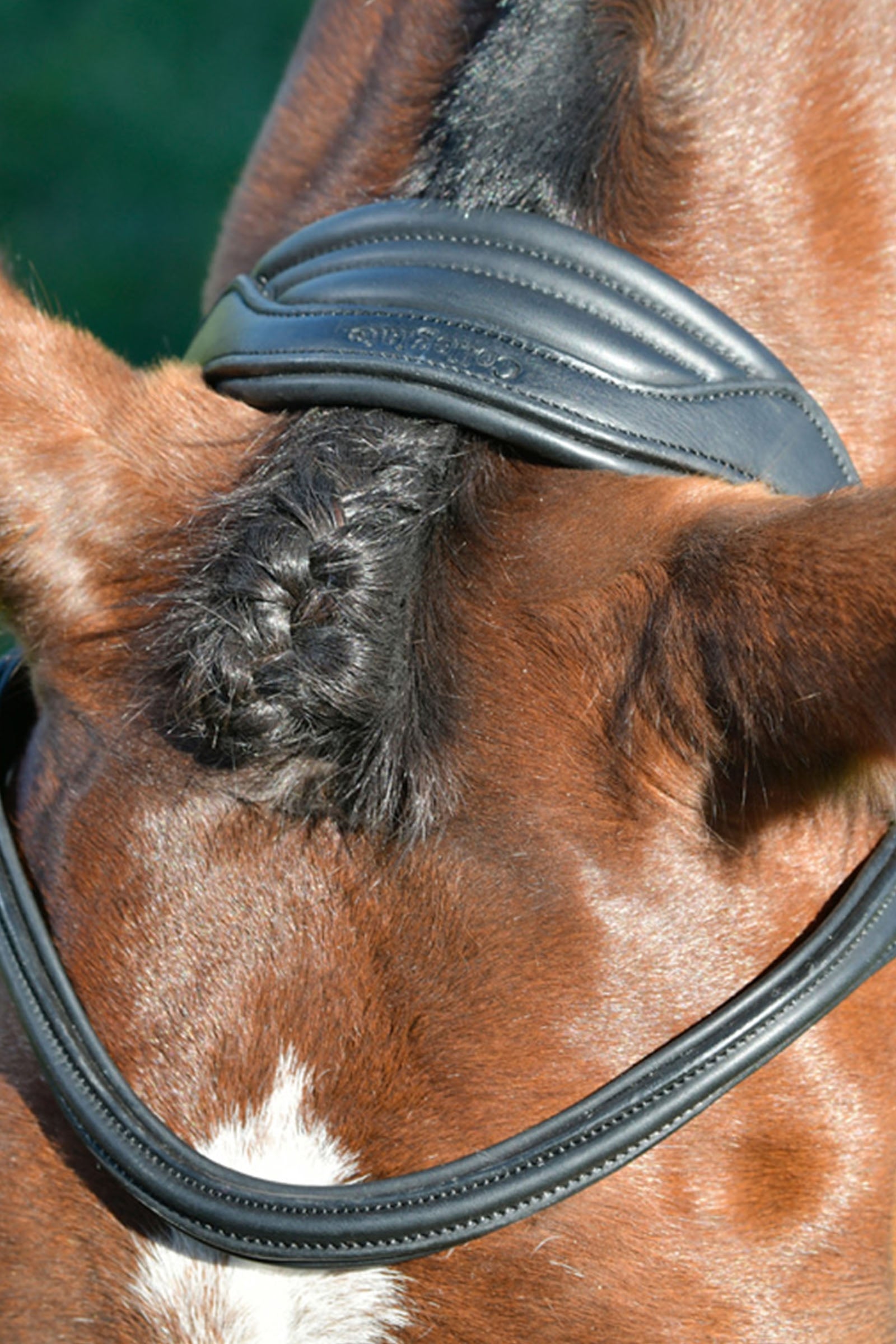 Collegiate Comfitec Opulux Plain Padded Hanoverian Flash Bridle Bridles & Reins