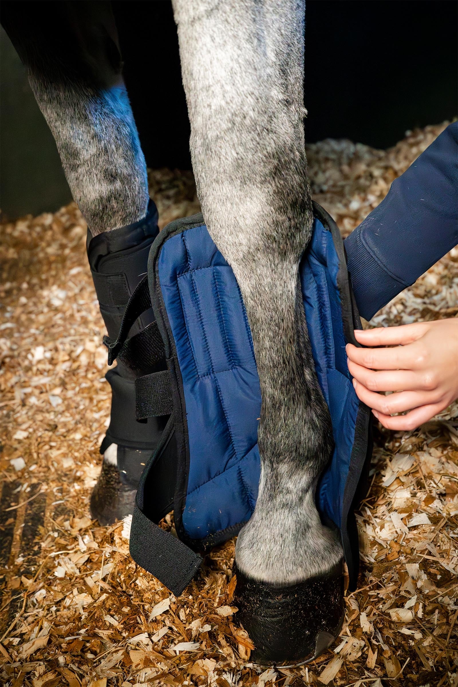 Horseware tallisaapas Ionic liner Leg & Hoof Protection
