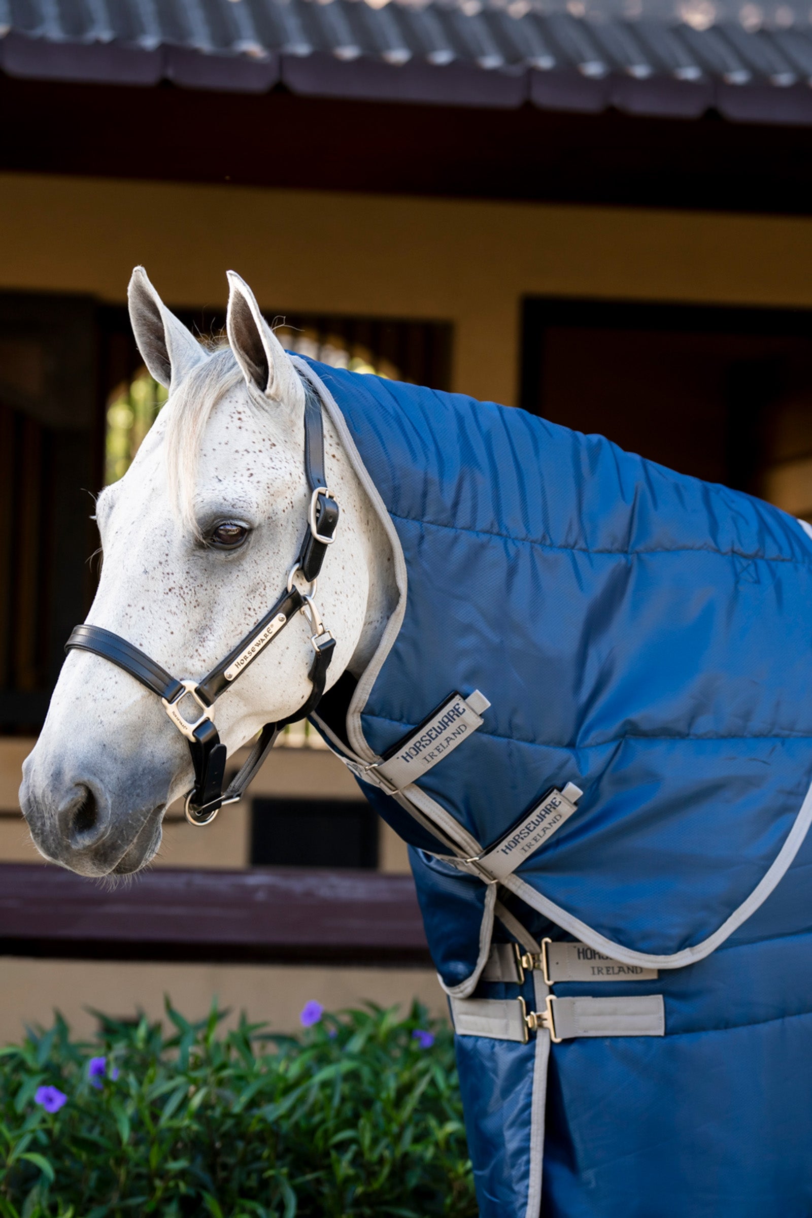 Horseware Amigo Ripstop Insulator tallihuppu, 100 g Loimet