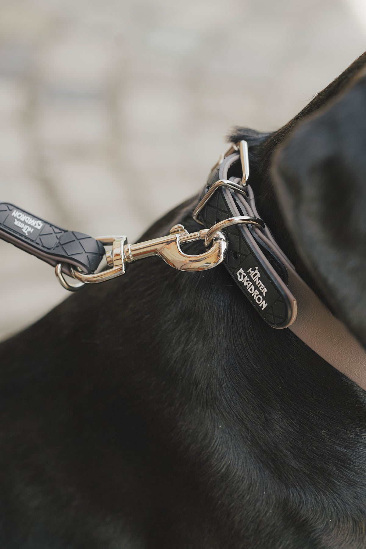 Eskadron Hunter x ESKADRON SPARK ADJUST Dog Leash Dog Accesories