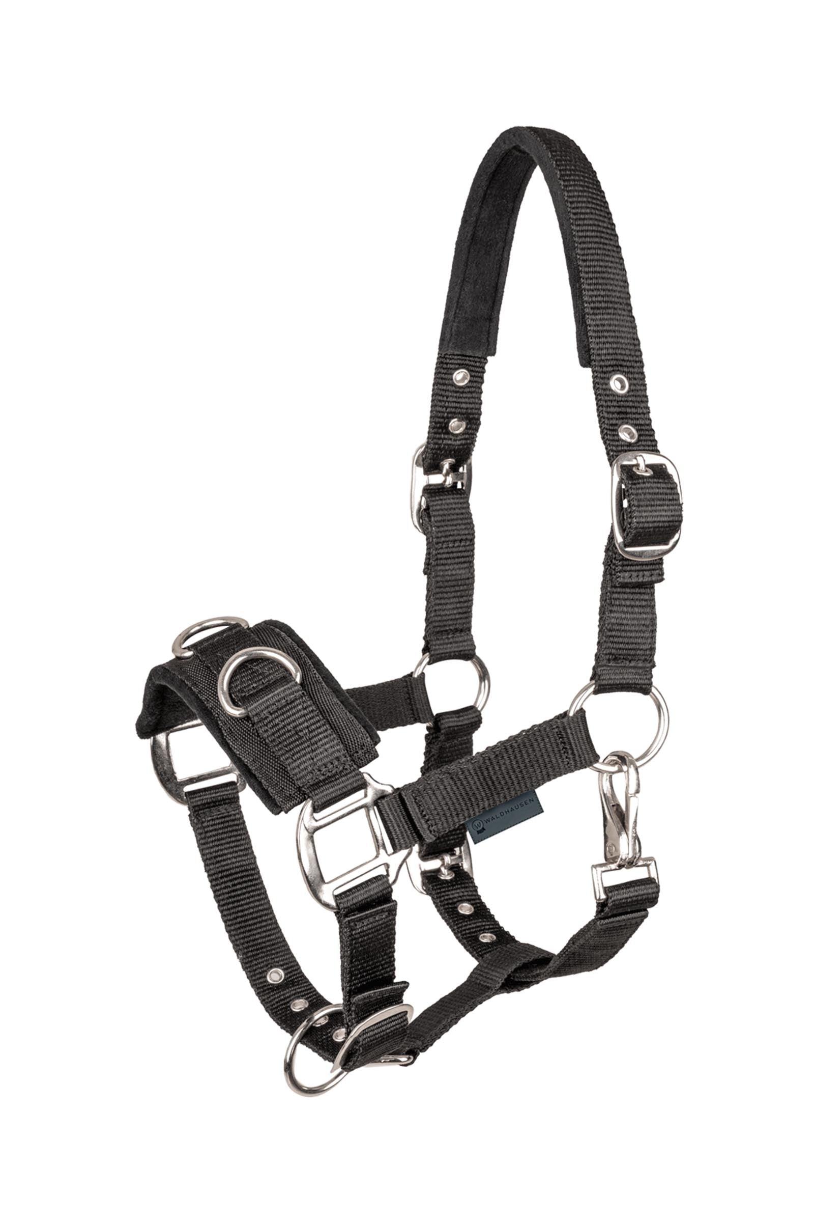 Waldhausen Economic Lunging Halter Halters & Leads