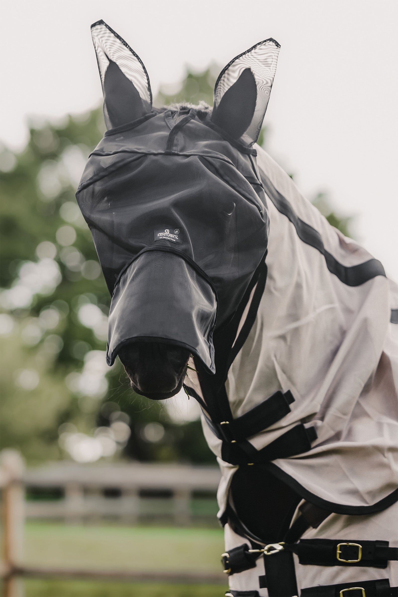 Kentucky Horsewear Classic kärpäsmaski korvilla ja turpasuojalla Hyönteissuojat