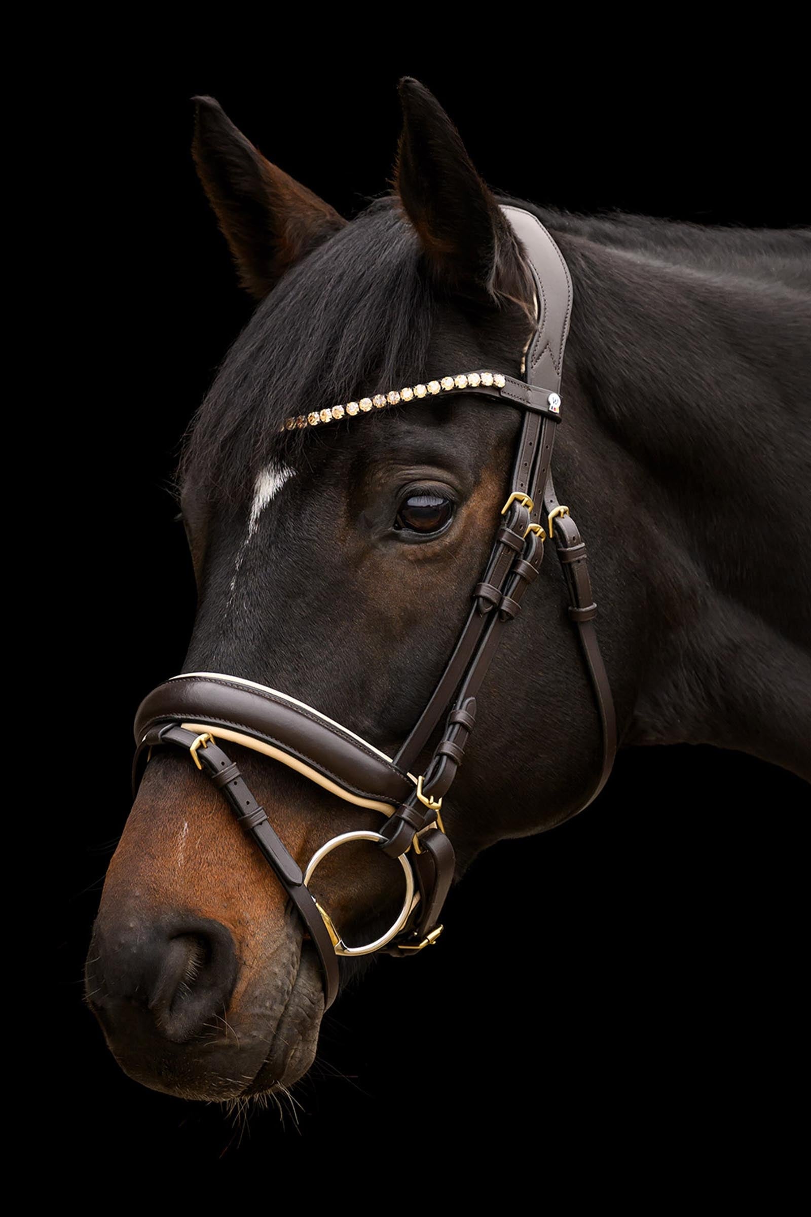 Waldhausen X-Line Ivory Bridle With Pullback Combined Nosenband Bridles & Reins