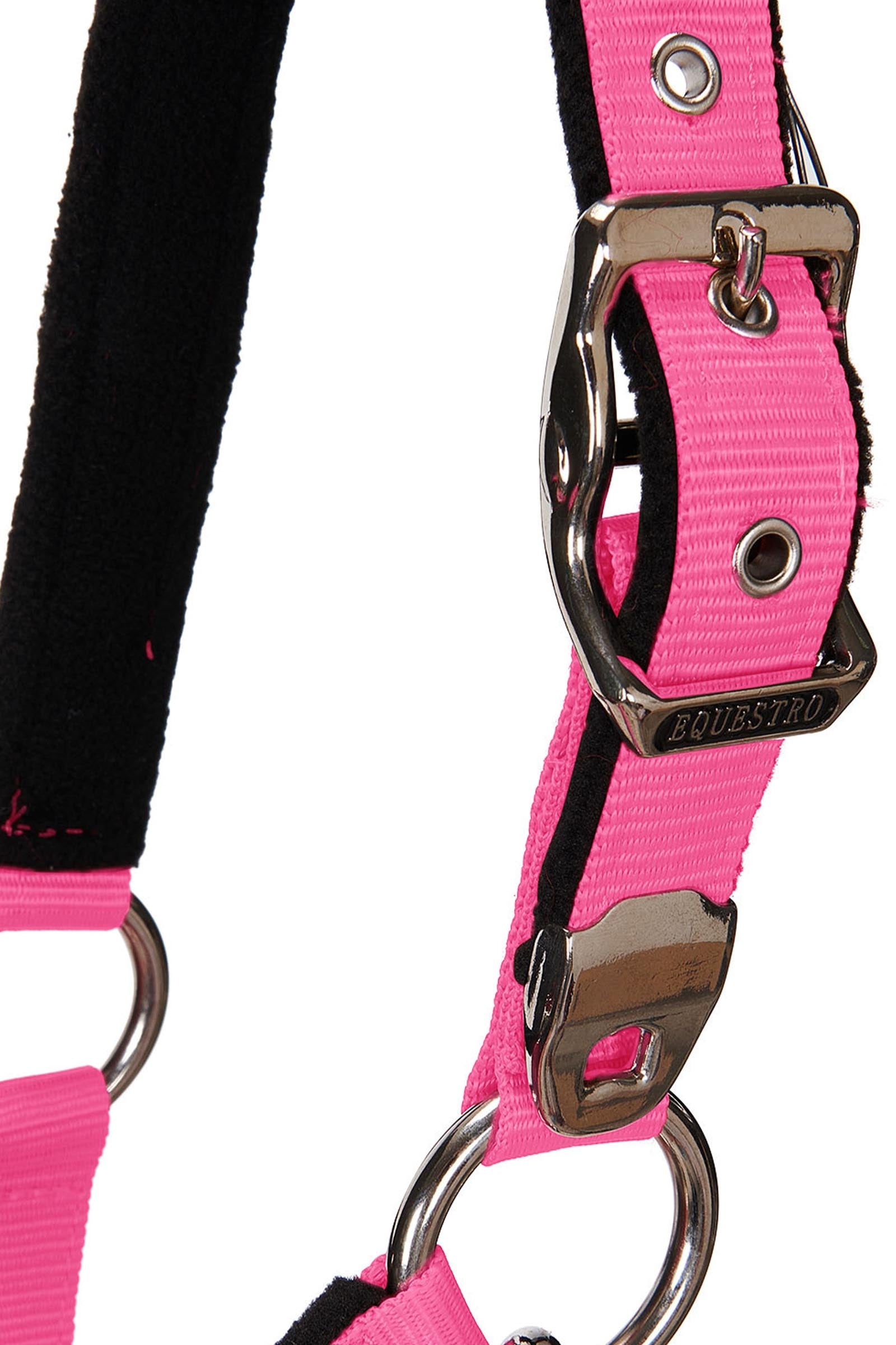 Equestro Padded Double Adjustment Headcollar Halters & Leads