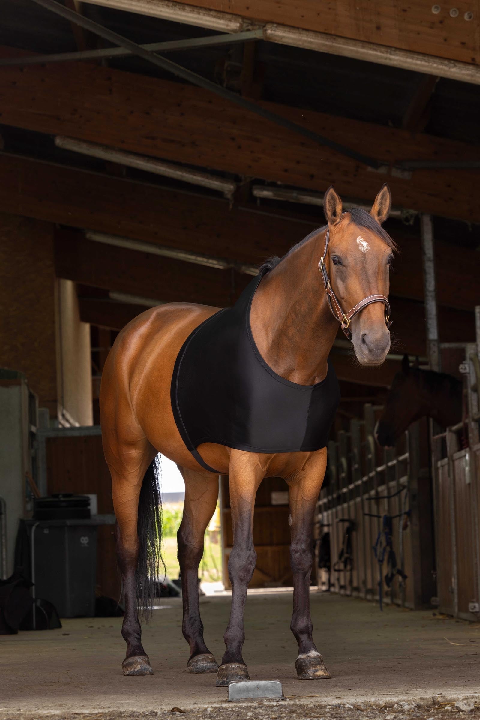 Lifestyle shot 2