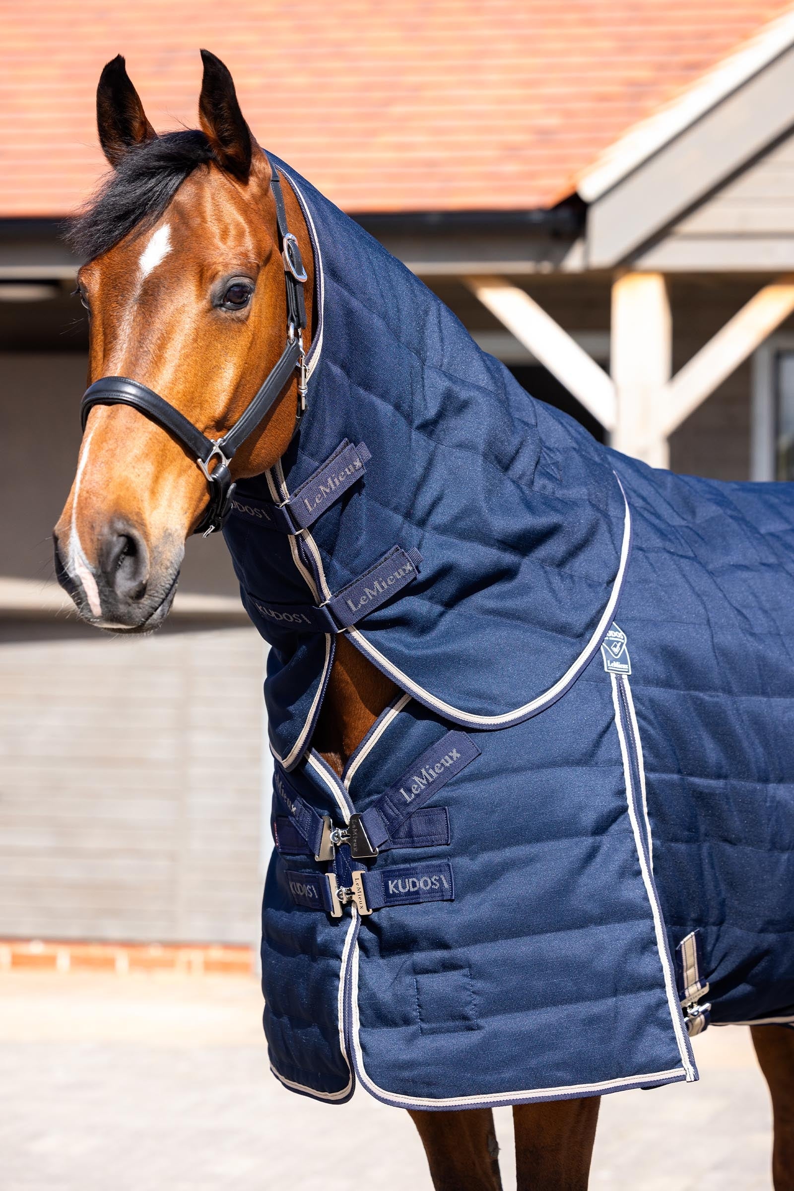 LeMieux Kudos Stable Neck Cover 50g Horse Rugs