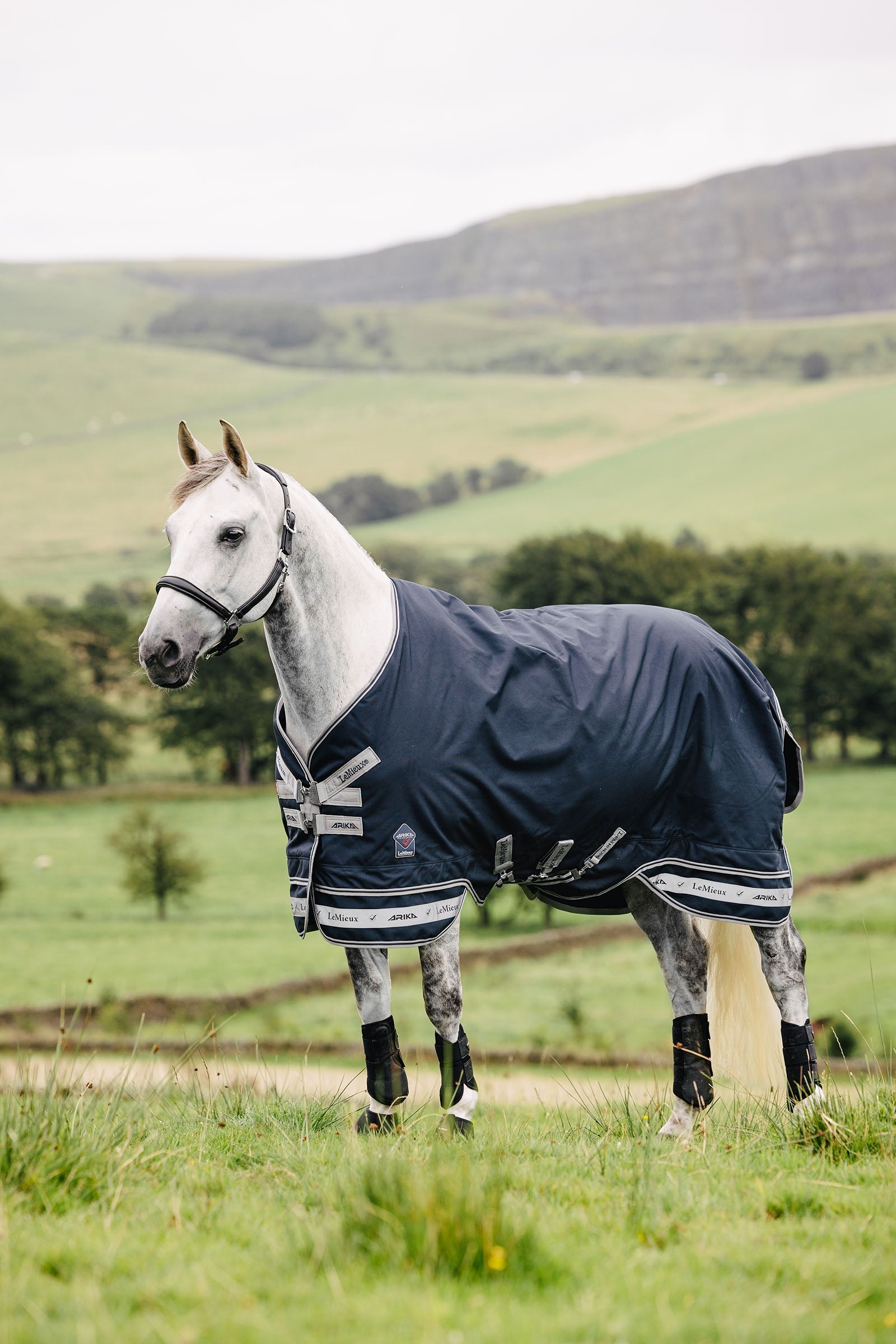 LeMieux Arika Storm-Tek Rug, 50 g Horse Rugs