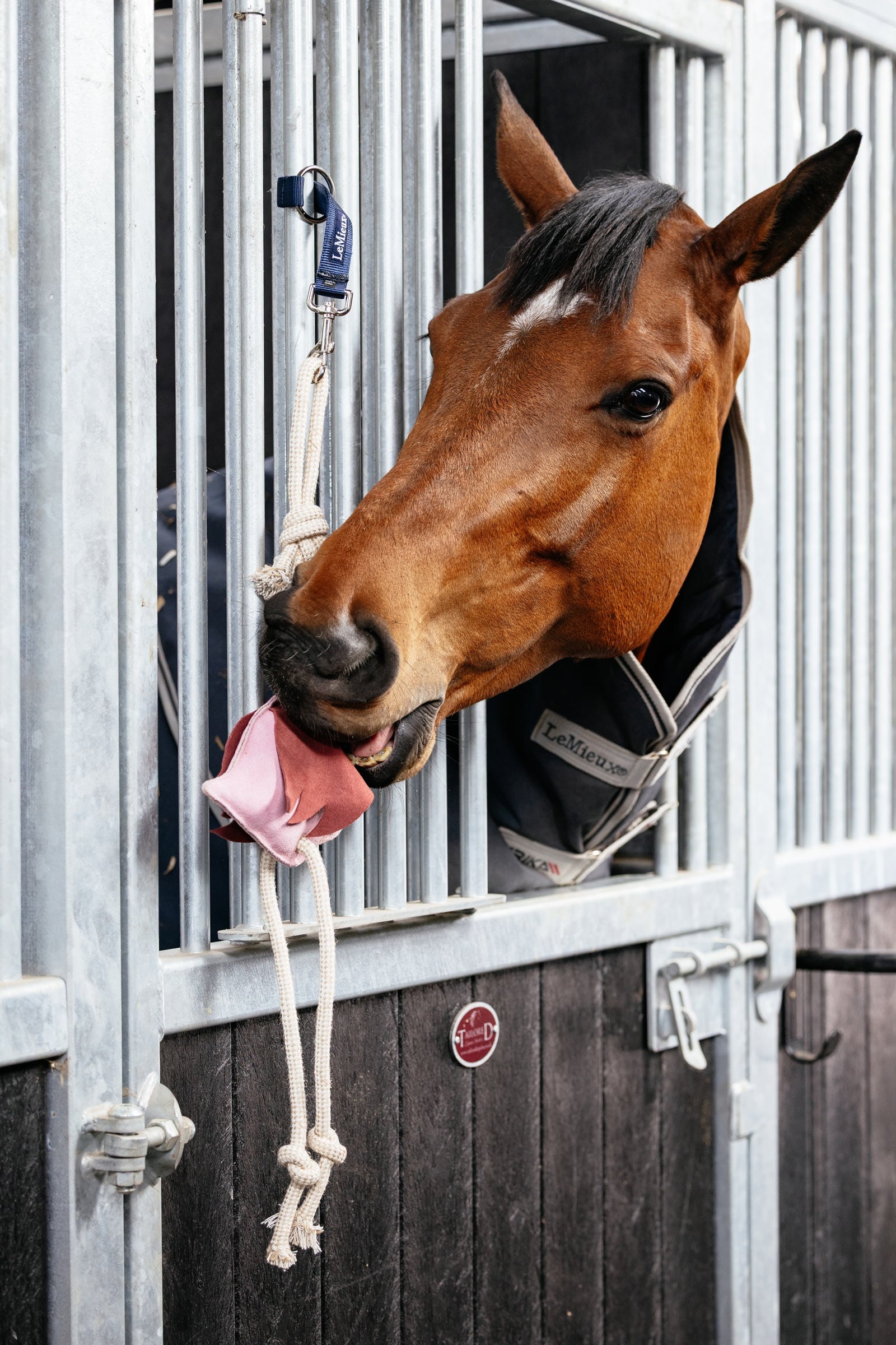 LeMieux Horse Toy Flamingo Horse Toys & Riding Arena Supplies