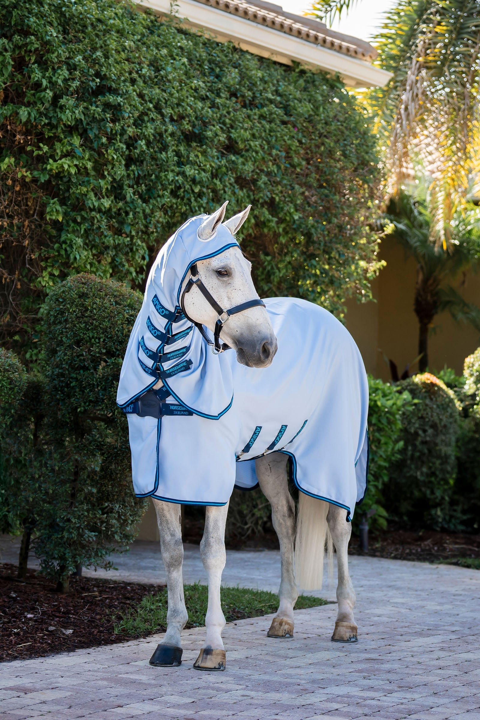 Horseware Amigo Ripstop Ötökkäloimi Loimet