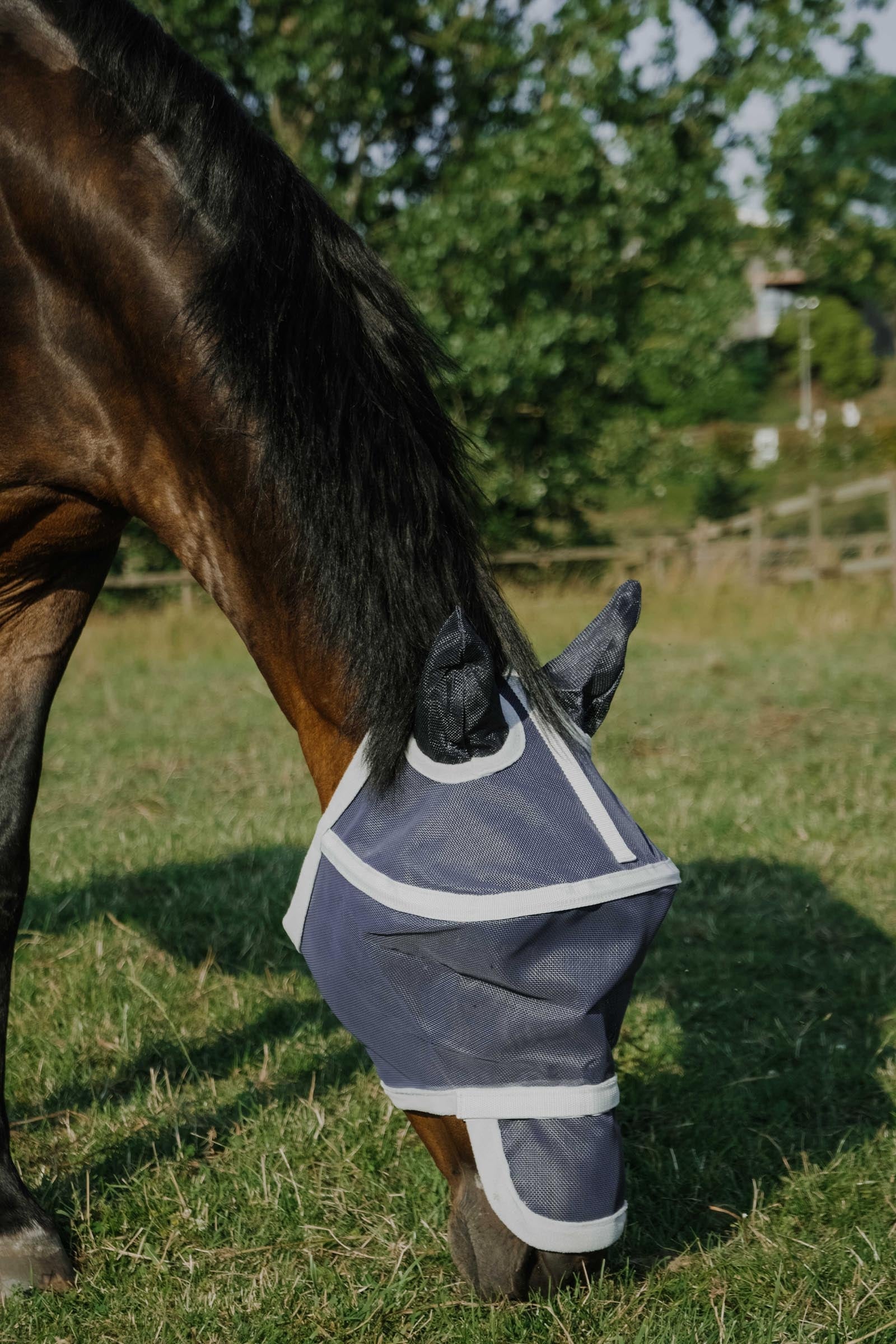 Equi Theme EQUITHÈME Cerceau Fly Mask/ UV Mask Antifly Protection for Horses