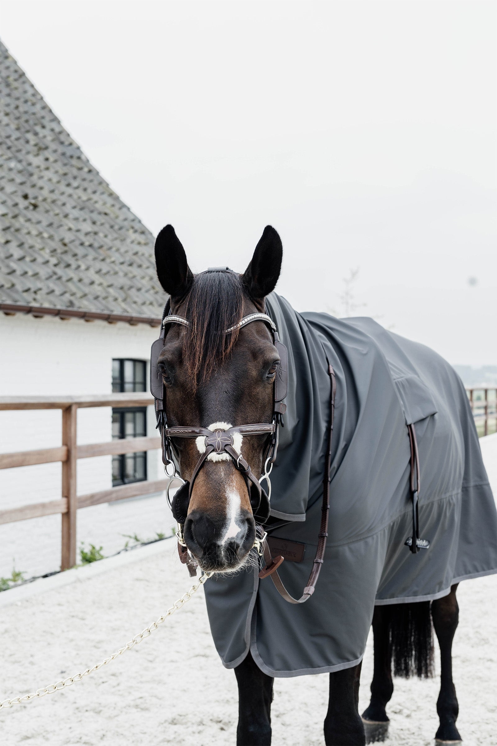 Kentucky Horsewear Hurricane Rain Sheet, 0g Horse Rugs