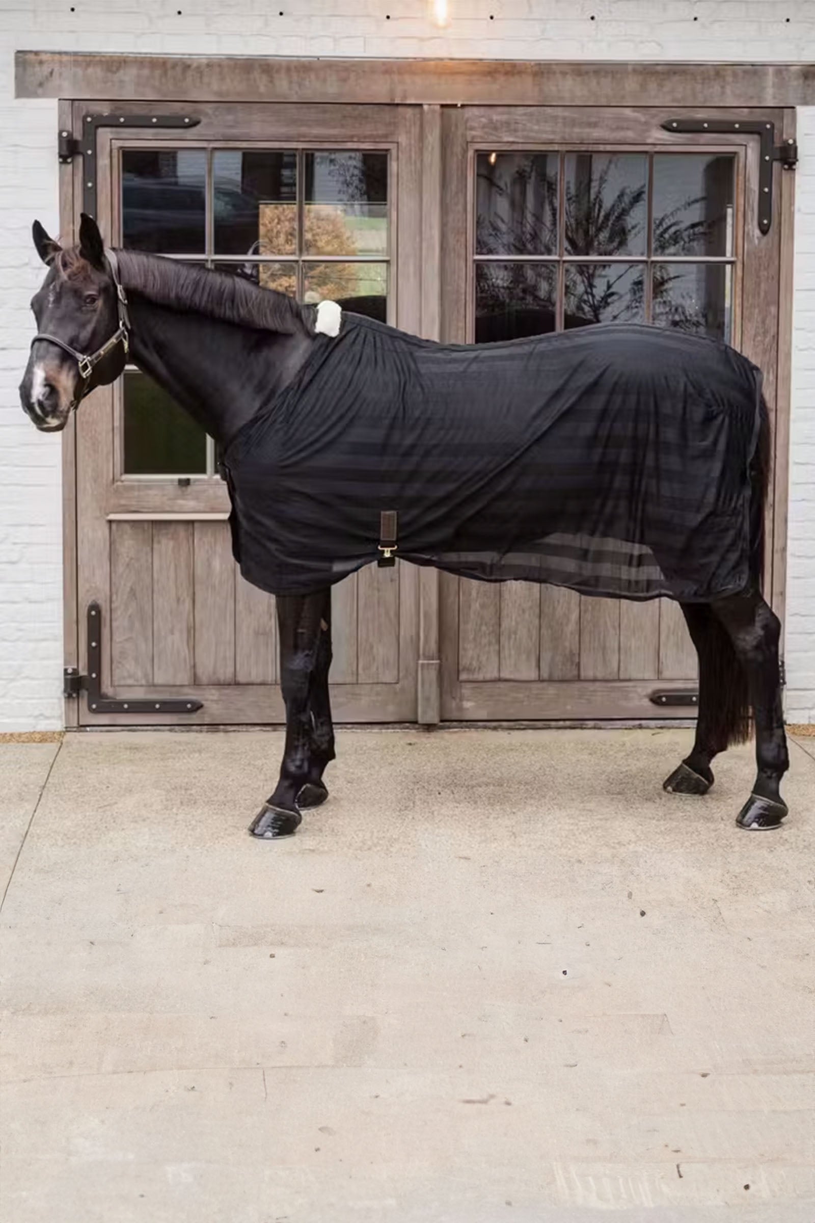 Kentucky Horsewear Light striped Mesh fly sheet Horse Rugs