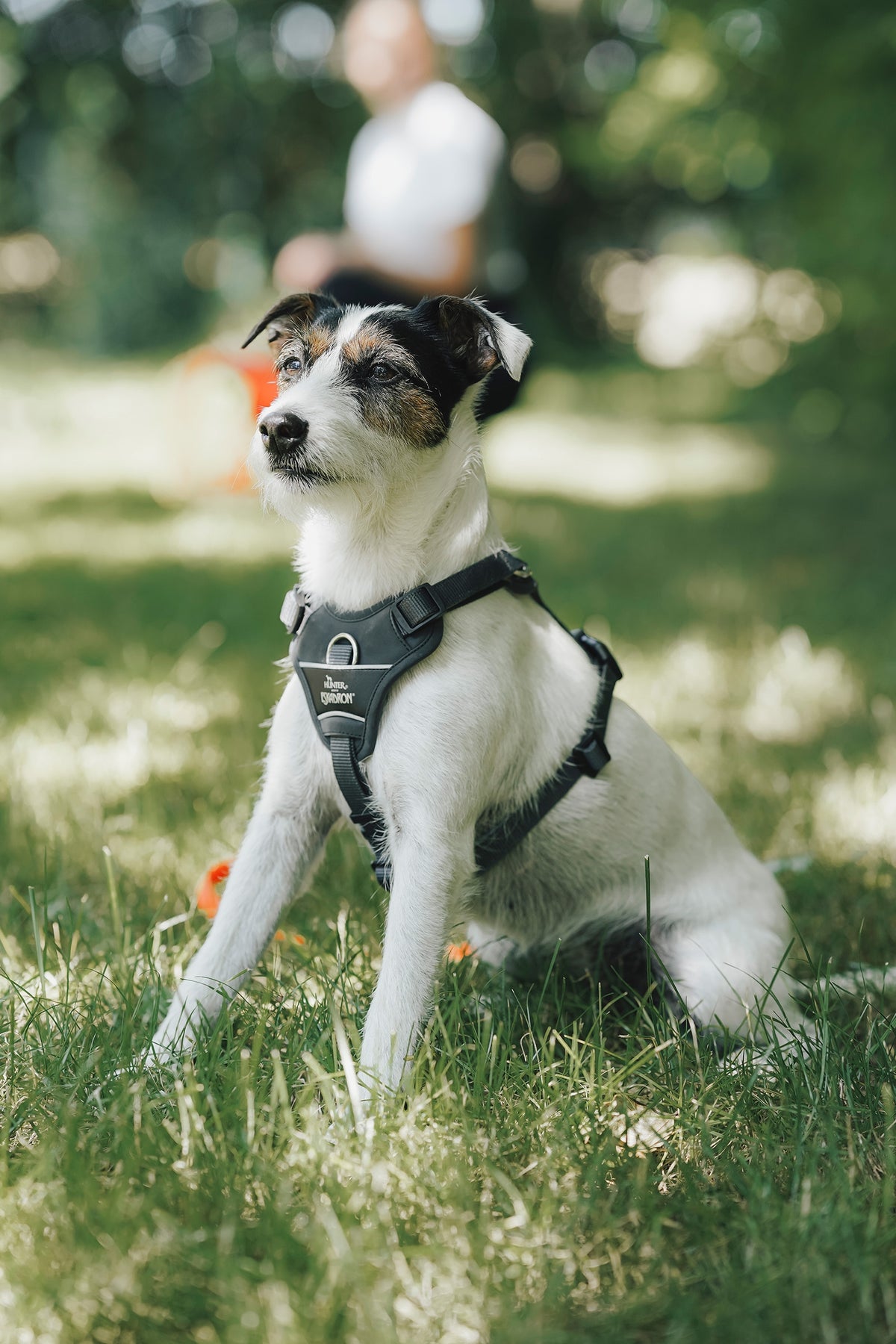 Eskadron Hunter x ESKADRON MOTION REFLECT Dog Harness Dog Accesories