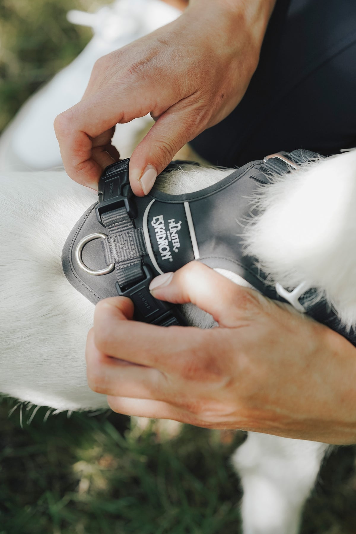 Eskadron Hunter x ESKADRON MOTION REFLECT Dog Harness Dog Accesories