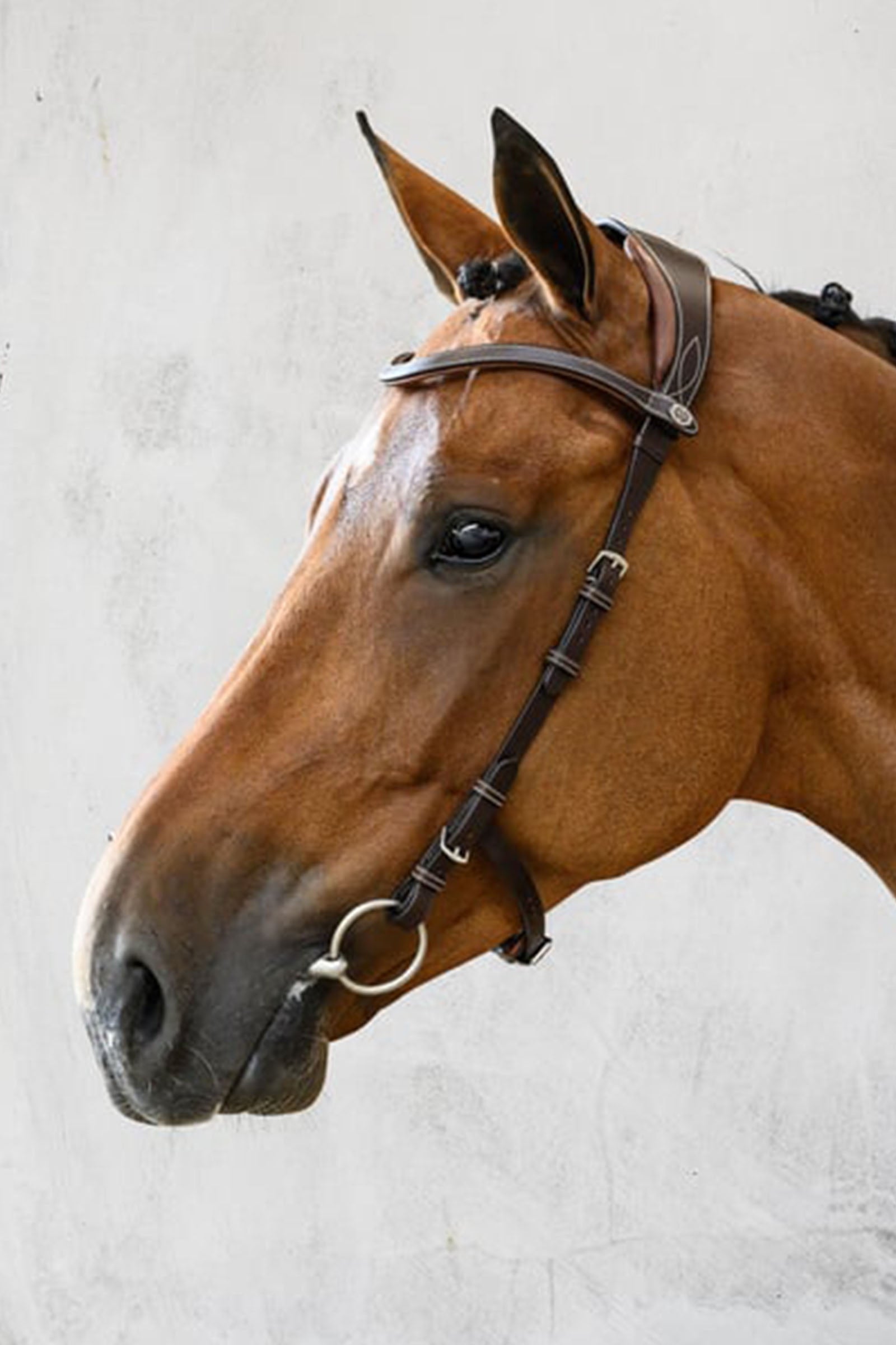 PS of Sweden Bridle Helsinki Bridles & Reins