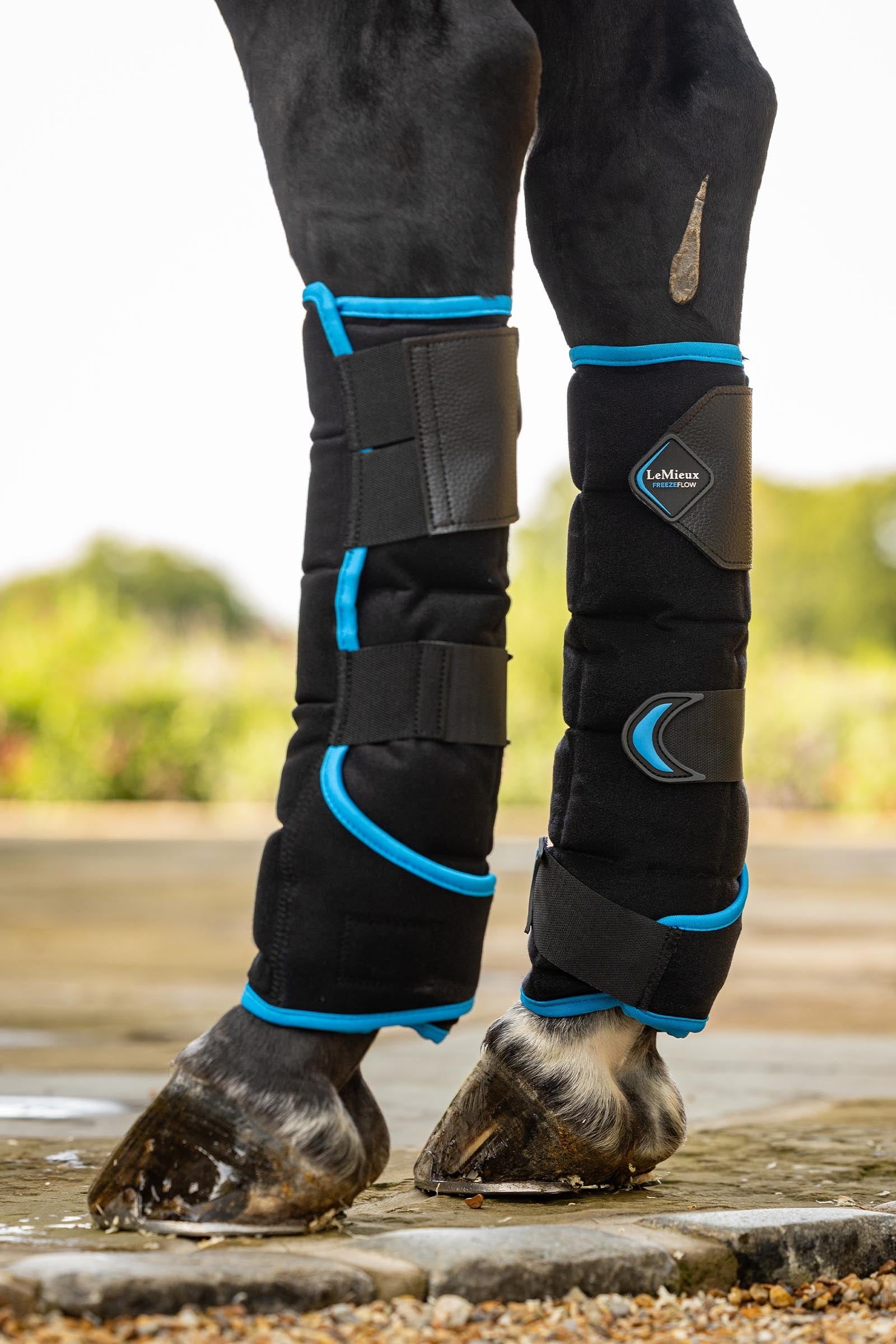 LeMieux Freeze Flow viilennyssuojat taakse Leg & Hoof Protection