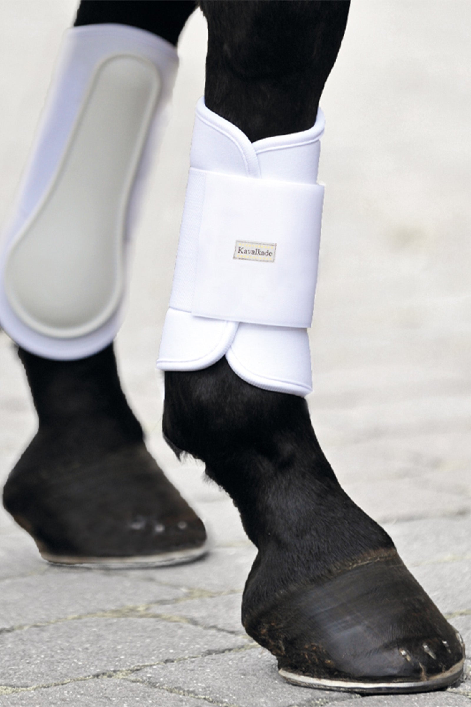 Kavalkade Neoprene pehmeät hivutussuojat etujalkoihin