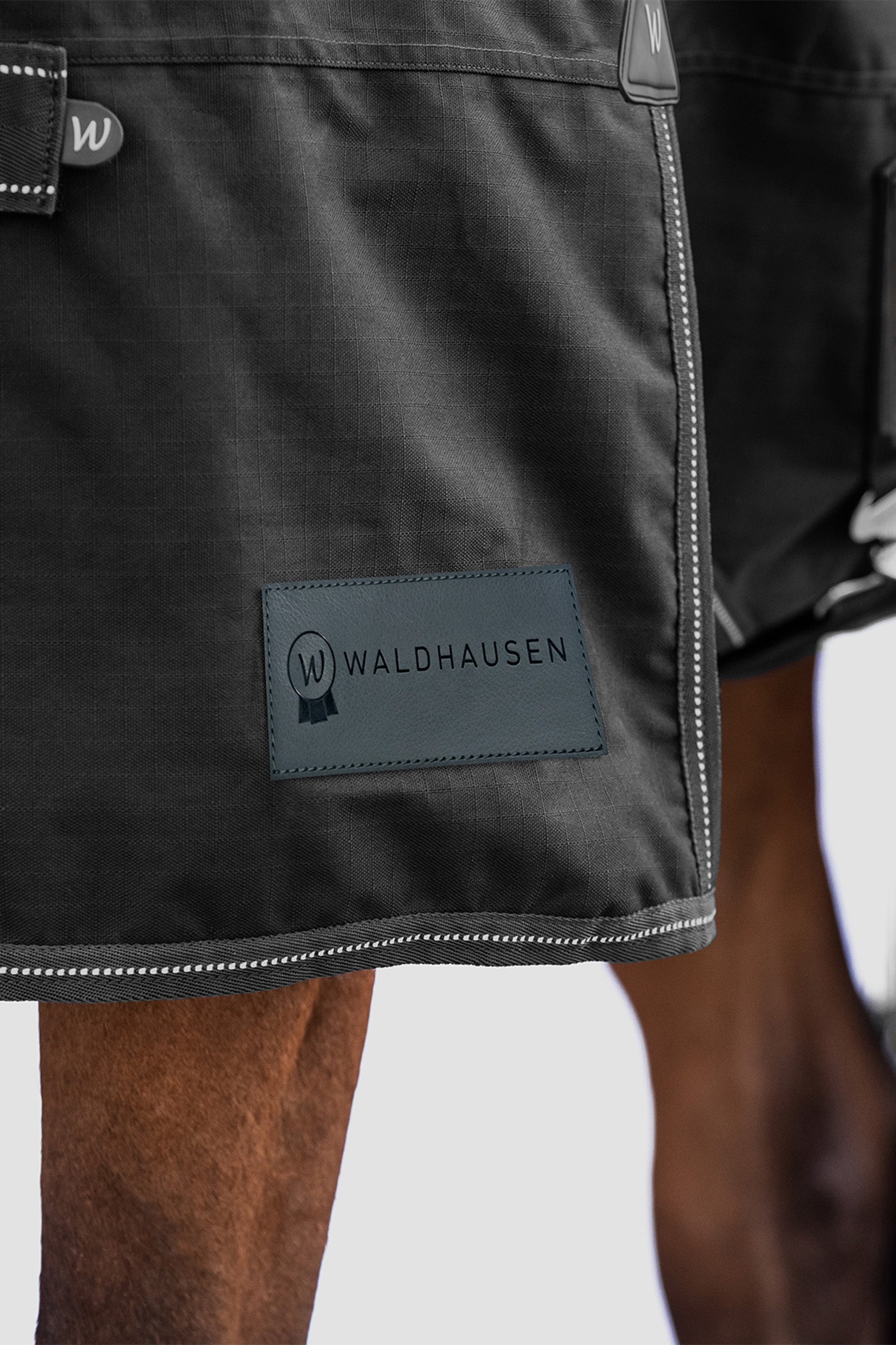 Waldhausen Arctic Outdoor Rug, 100 g Horse Rugs