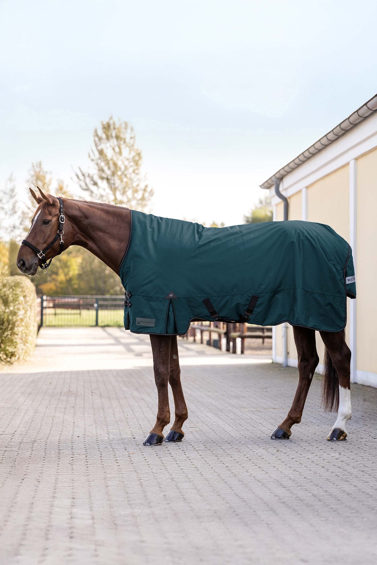 Waldhausen Arctic Outdoor Rug, 100 g Loimet